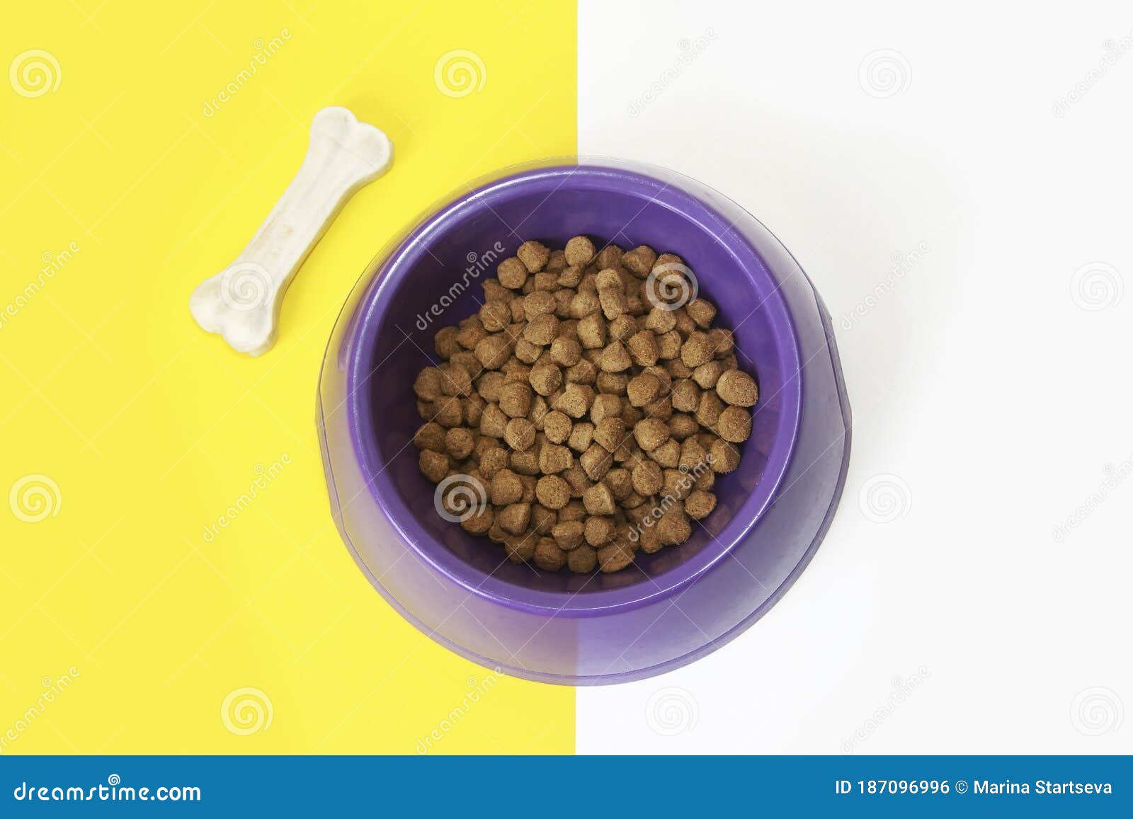 Dry Dog Food in a Plate and White Bone Stock Photo Image of macro, animal 187096996