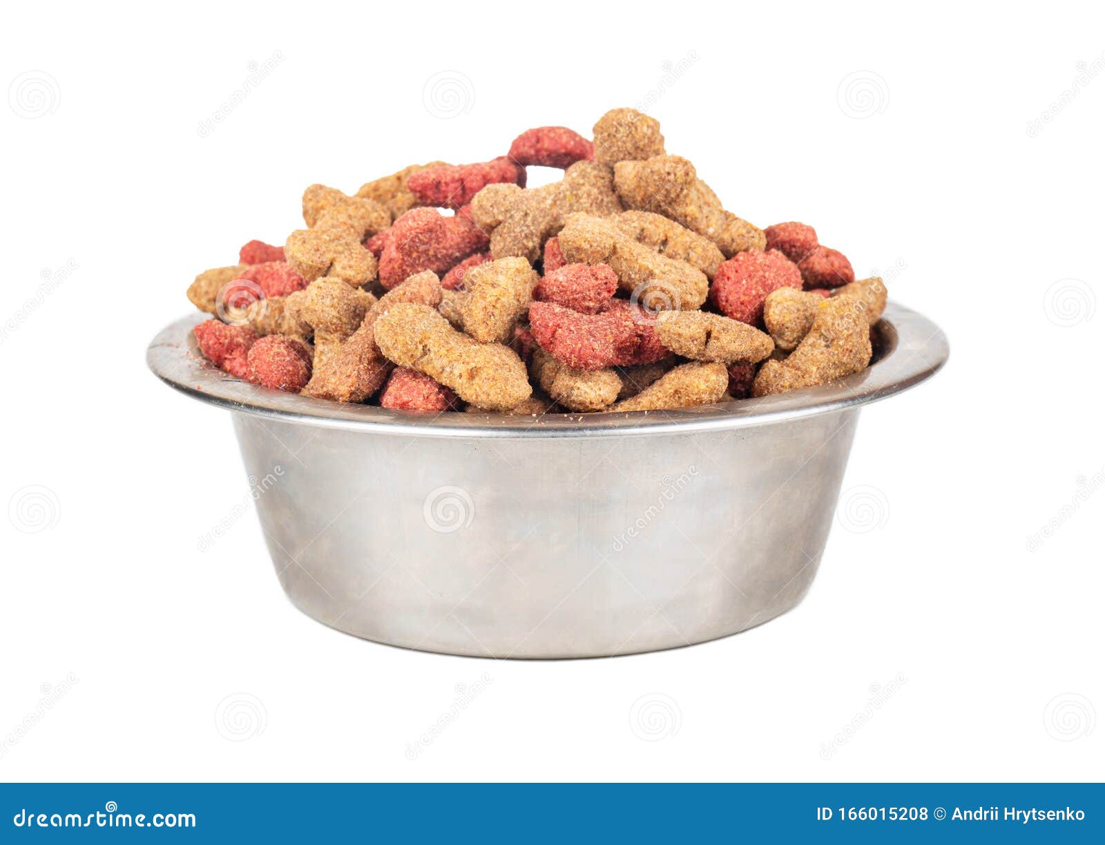 Dry dog food stock photo. Image of dinner, diet, dish 166015208