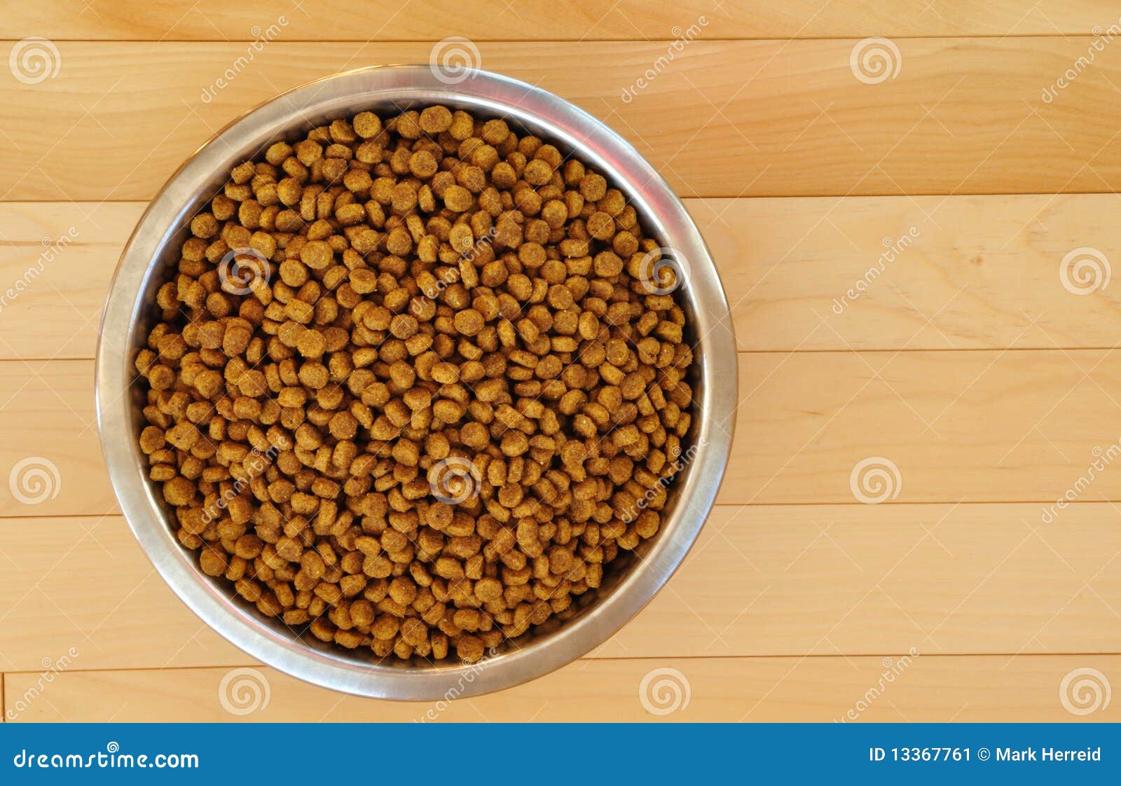 Dog Food In A Stainless Steel Bowl Stock Photo - Download Image