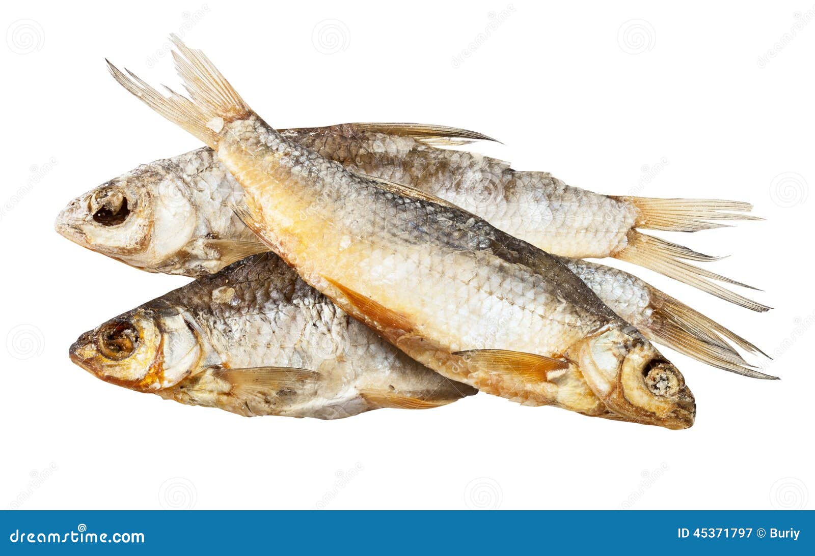 clipart dried fish - photo #30