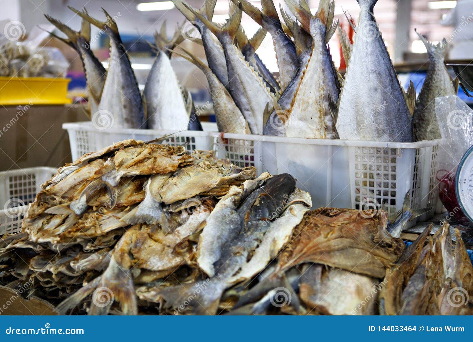 Dry Fish in the Market in Malaysia Stock Photo Image of ingredient