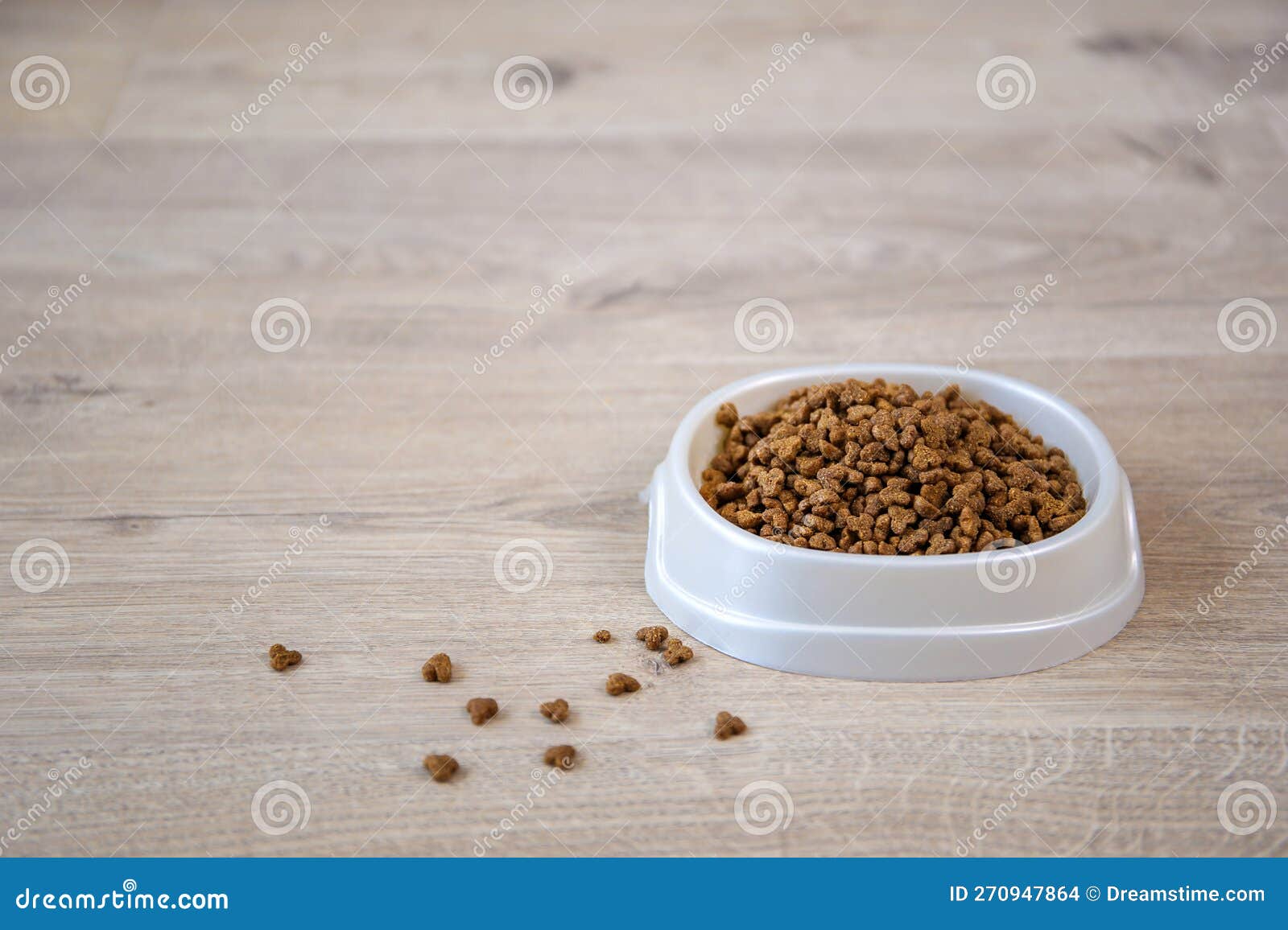 Dry food for cats and dogs stock photo. Image of nutrition 270947864