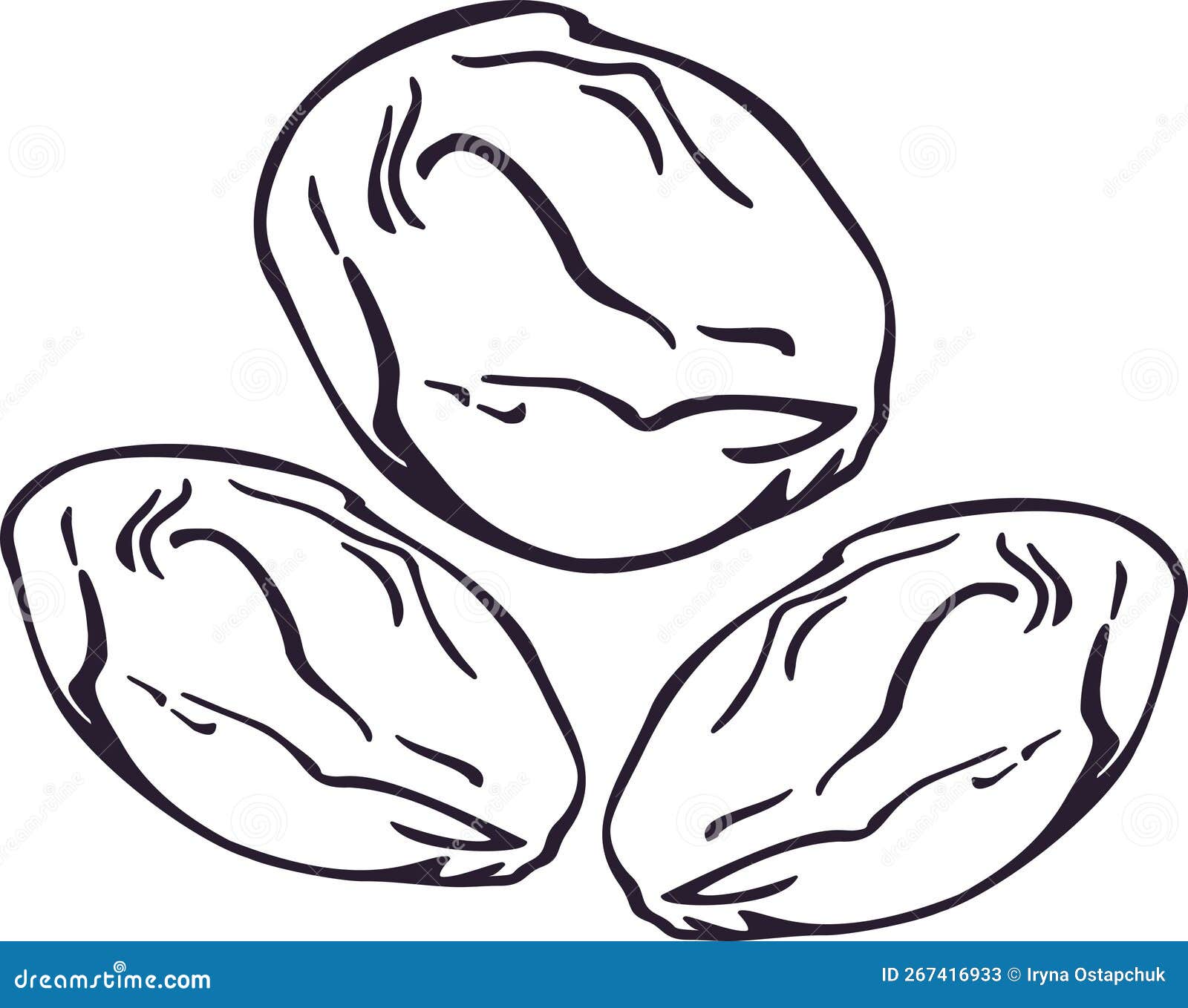 Dry Fruit&Nuts stock vector. Illustration of food 267416933