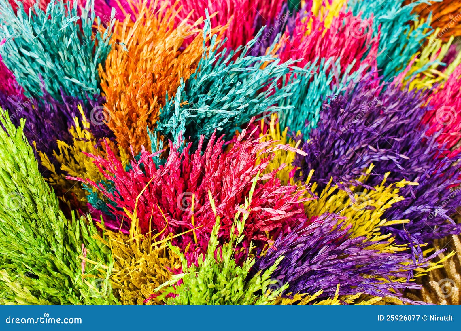 Dry grass stock image. Image of construction, backdrop 25926077