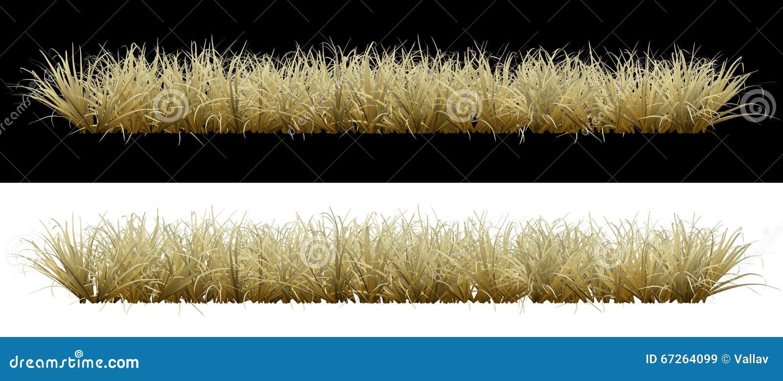 Dry grass on an background stock illustration. Illustration of backdrop