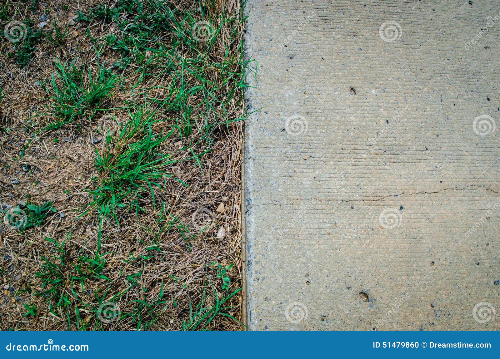 Dry grass and cement stock photo. Image of grass, stone 51479860