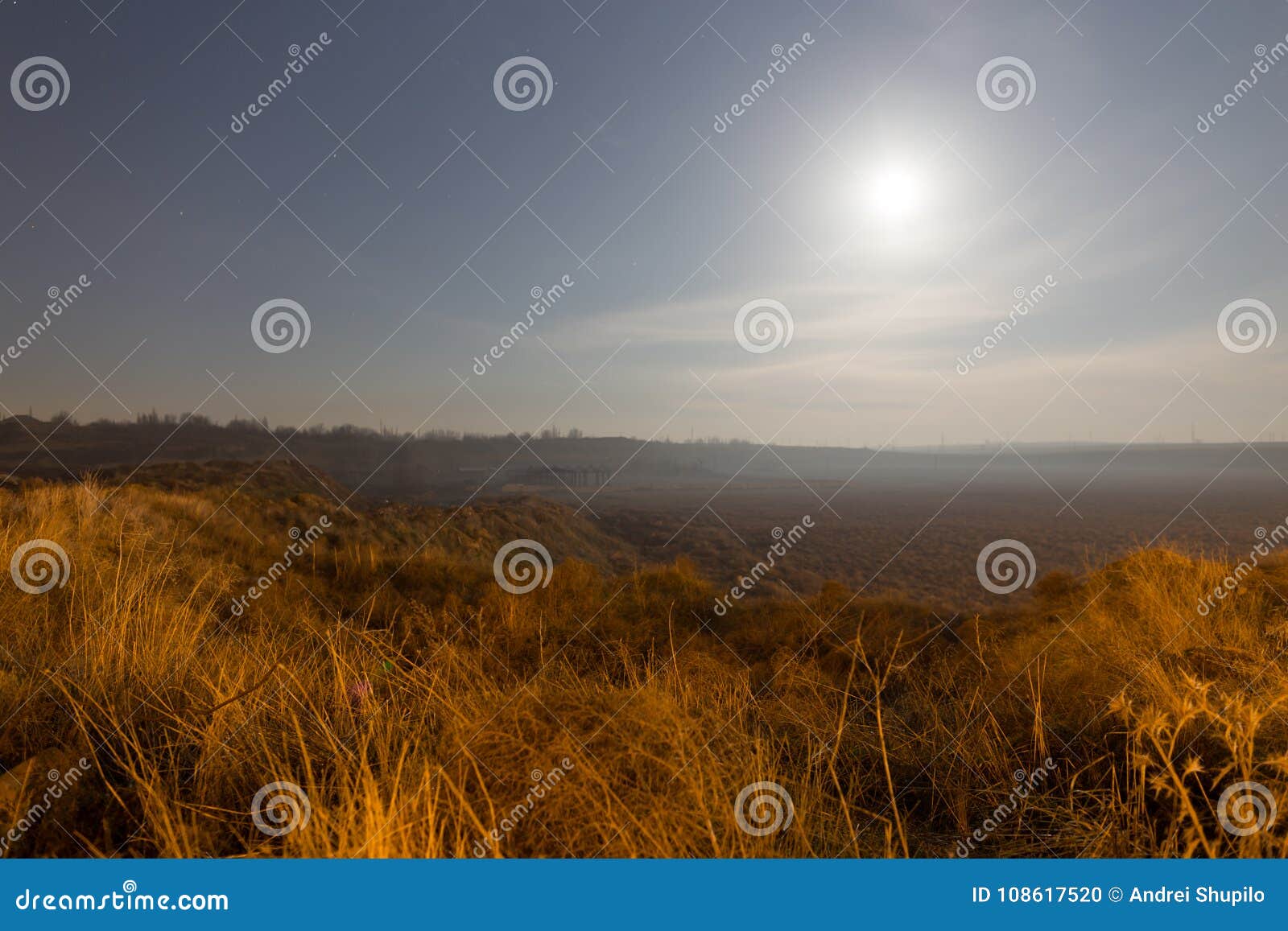 Dry Grass in a Field in the Moonlight Night Stock Photo Image of
