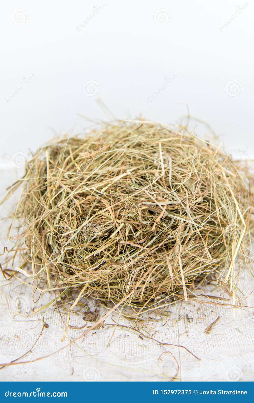Dry grass, hay stock image. Image of studio, background 152972375