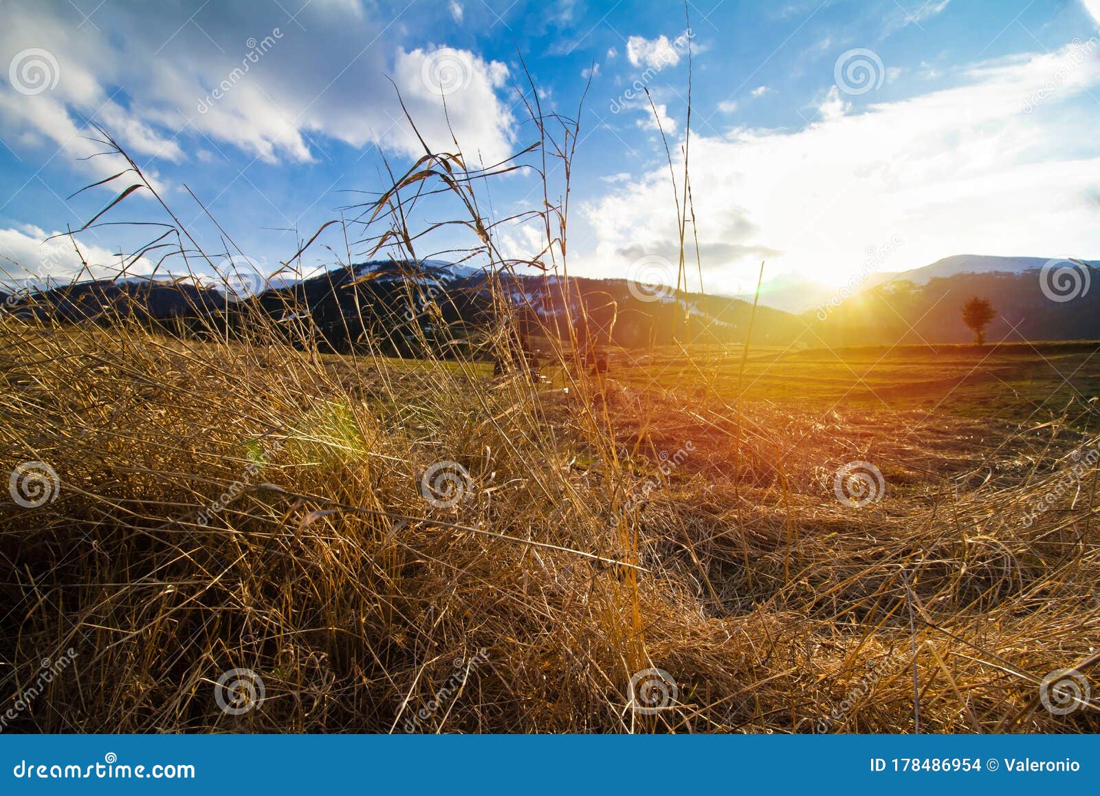 dry grass leaves in meadow of carpathian mountains in transcarpathia, evening sun and low clouds on peak of gemba mountain