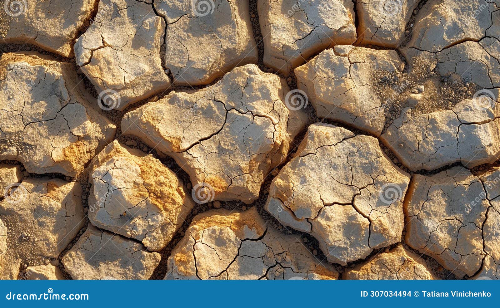 dry ground textures in the namib desert.