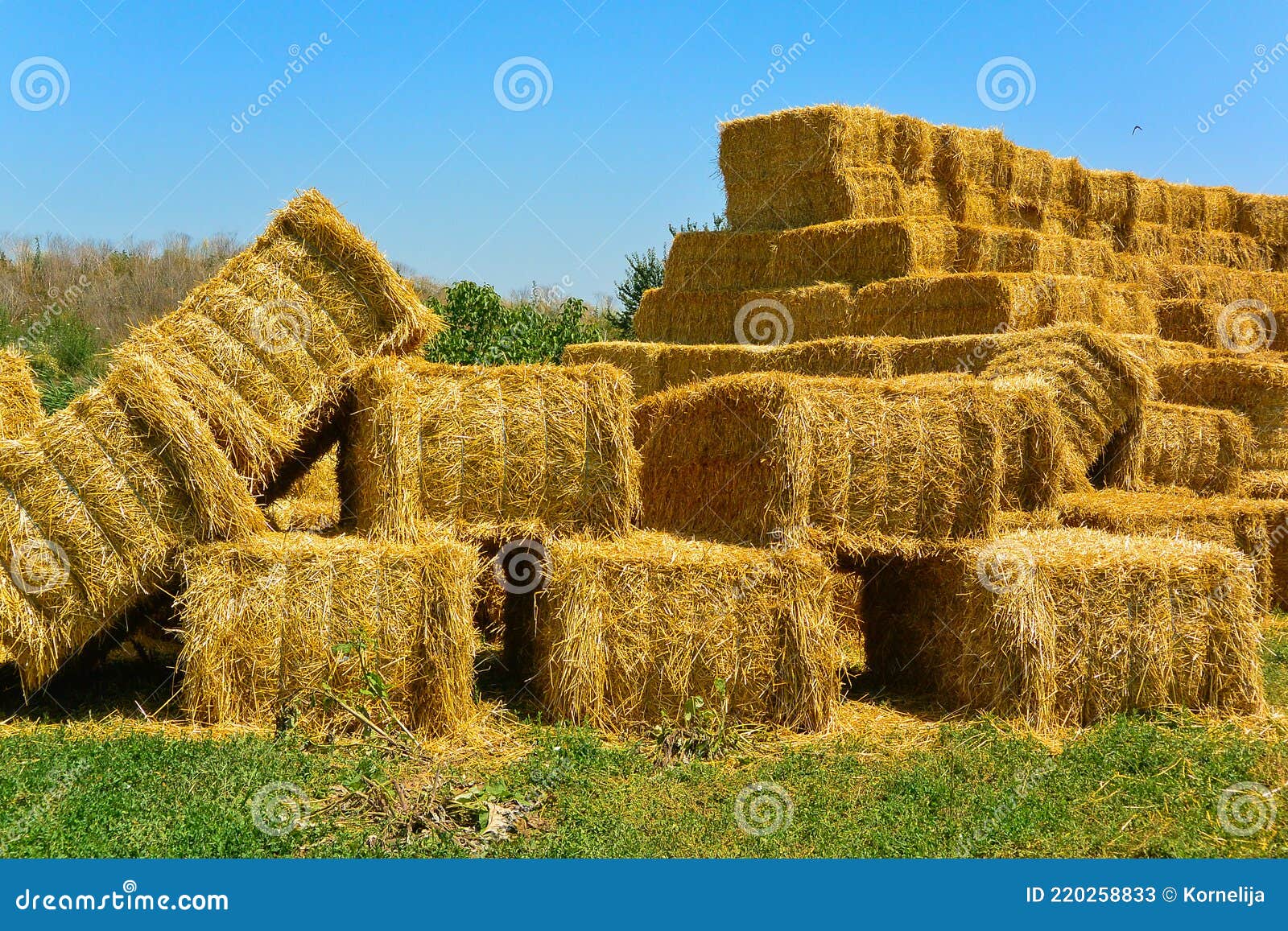Dry Haystack, Farming Symbol of Harvest Time Stock Image - Image of