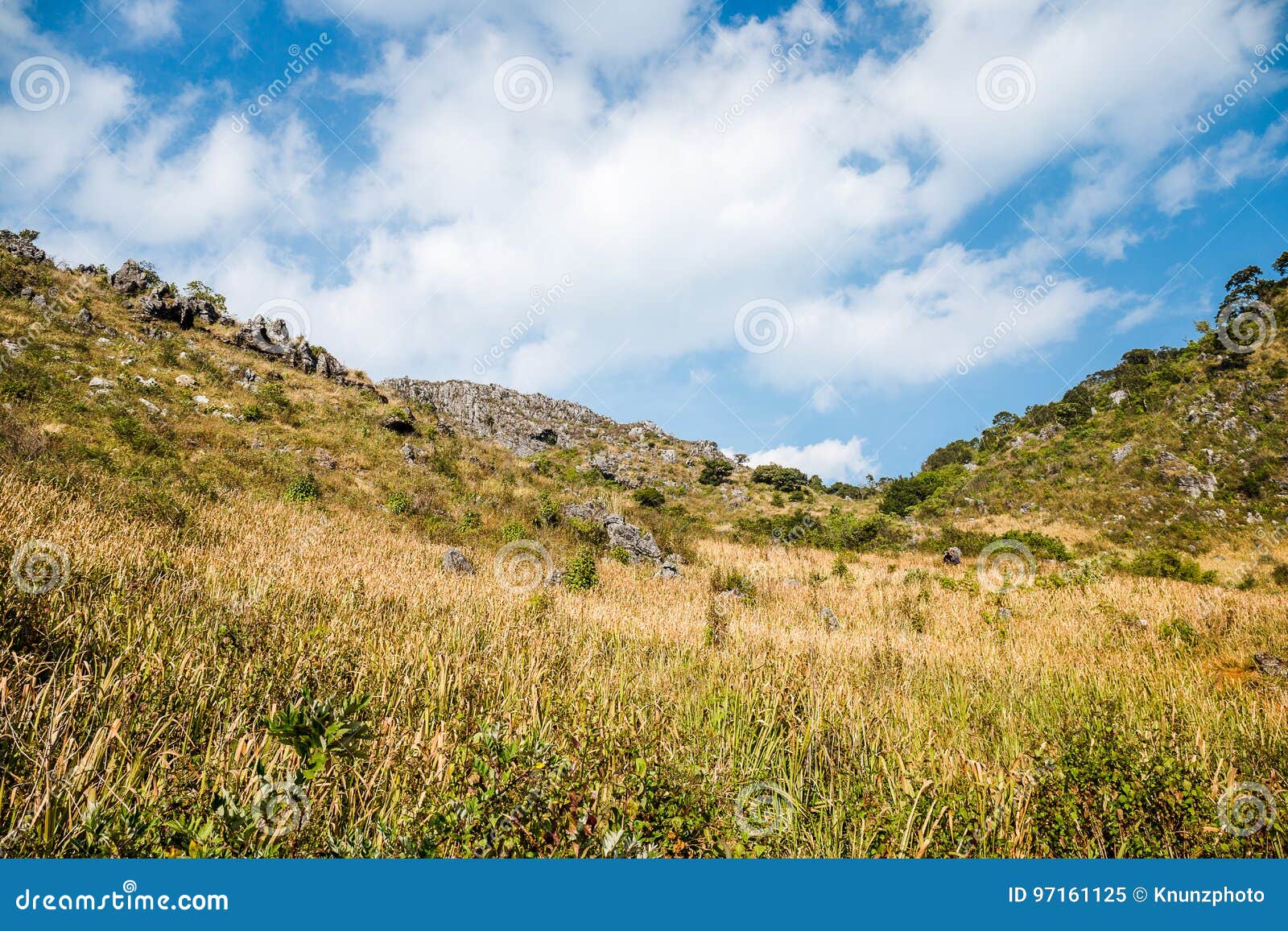 Dry hill with clear sky stock image. Image of national 97161125