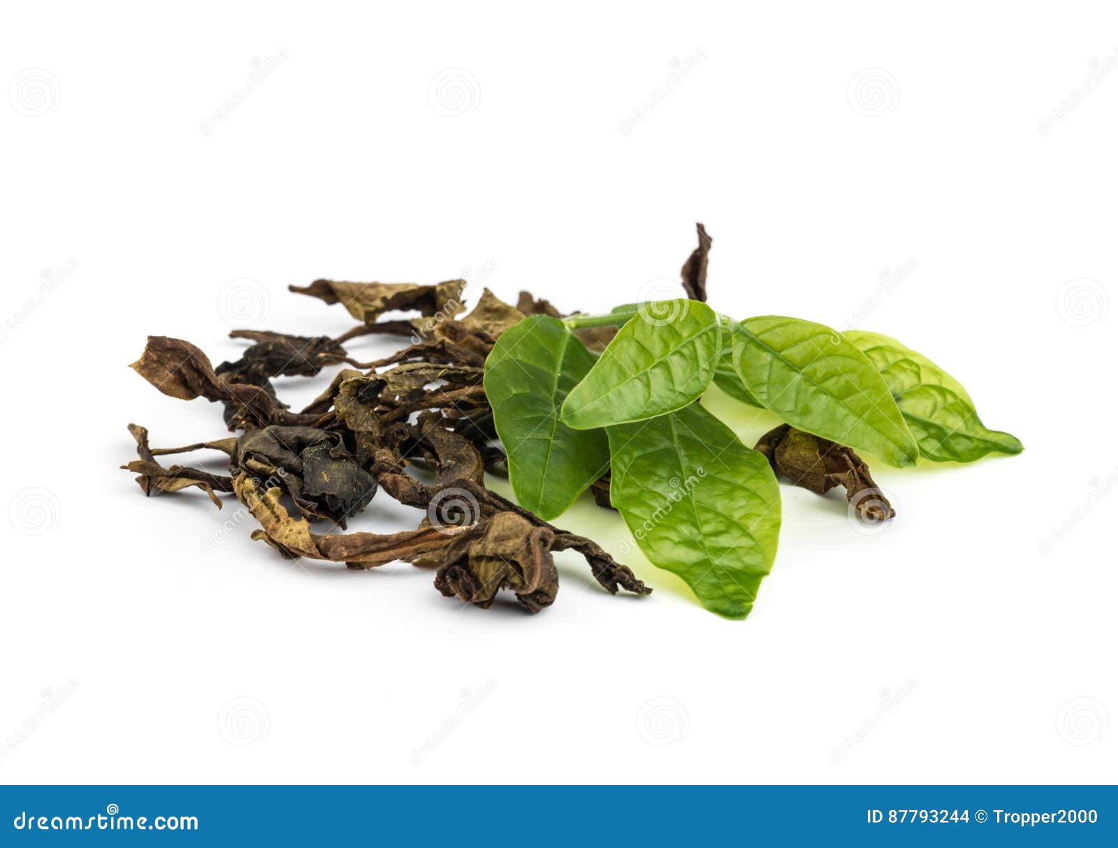 Dry jasmin tea leaves. stock photo. Image of dried, branch 87793244