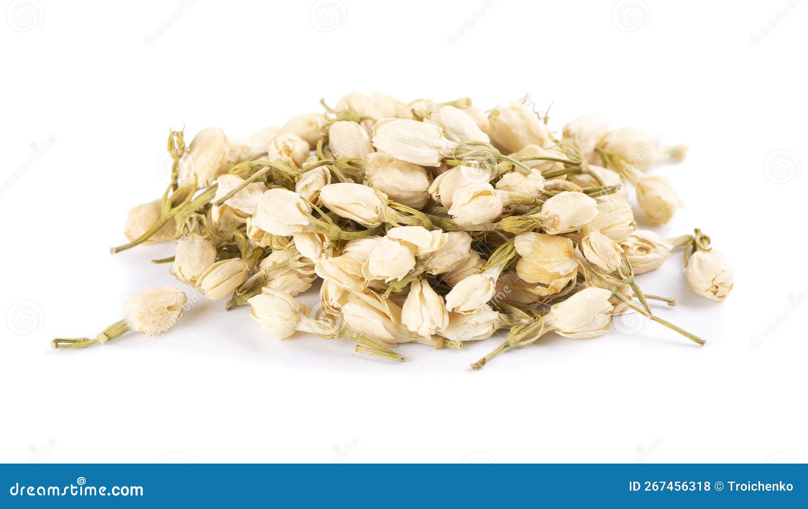 Dry Jasmine Flowers Isolated on White Background. Jasmine Flowers Tea