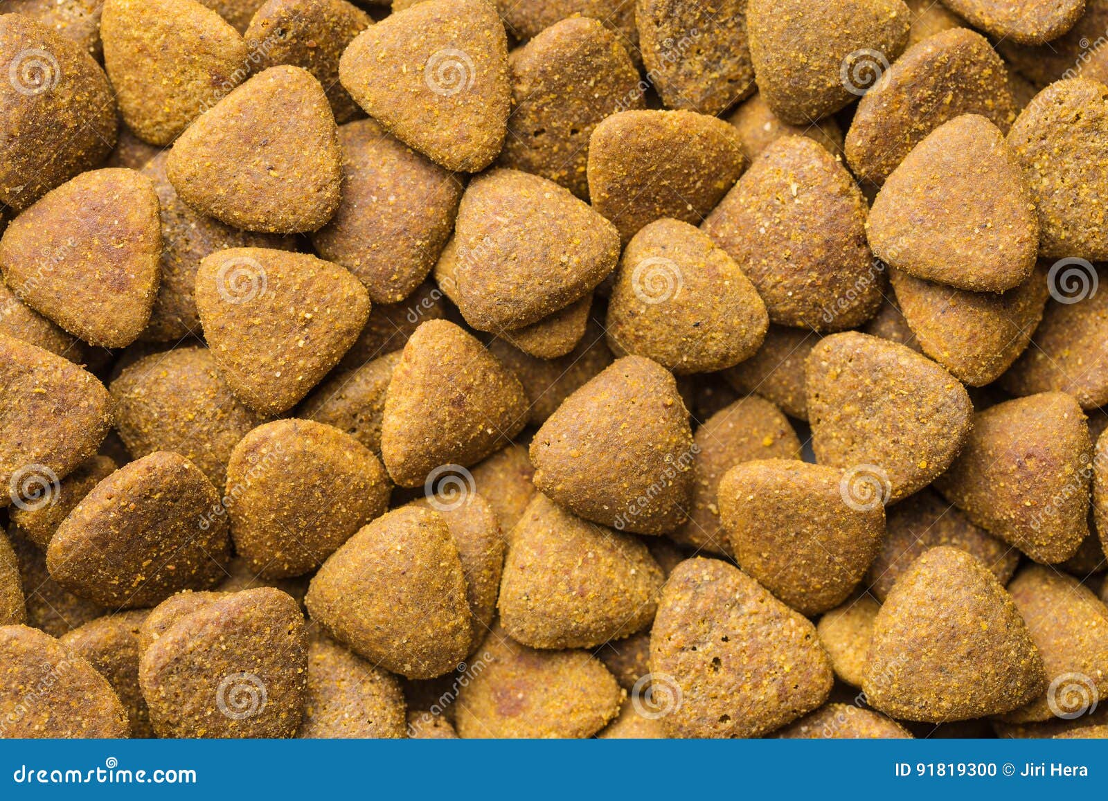 Dry kibble dog food. stock photo. Image of dinner, meat 91819300