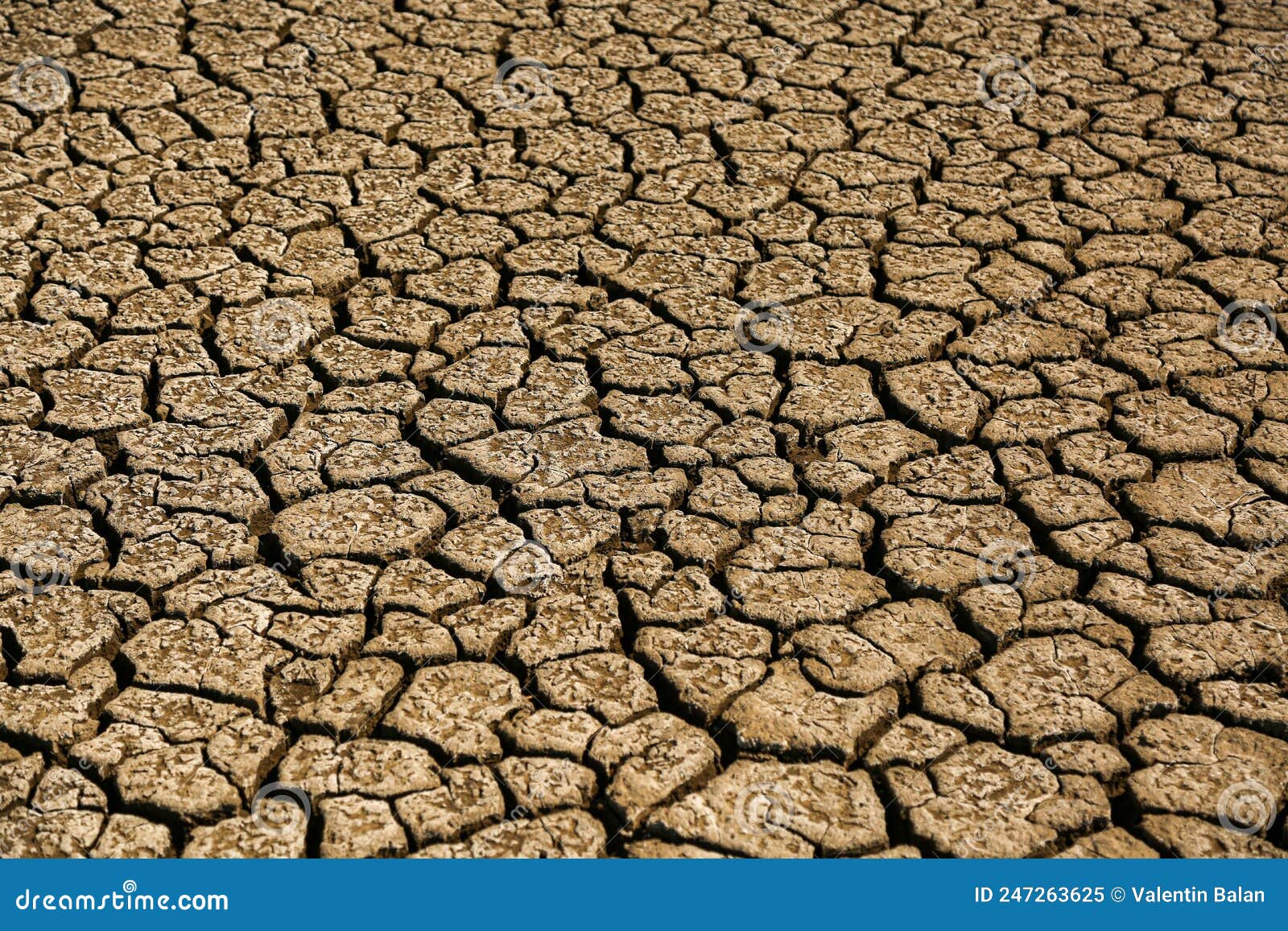 Dry land with many cracks stock image. Image of barren 247263625