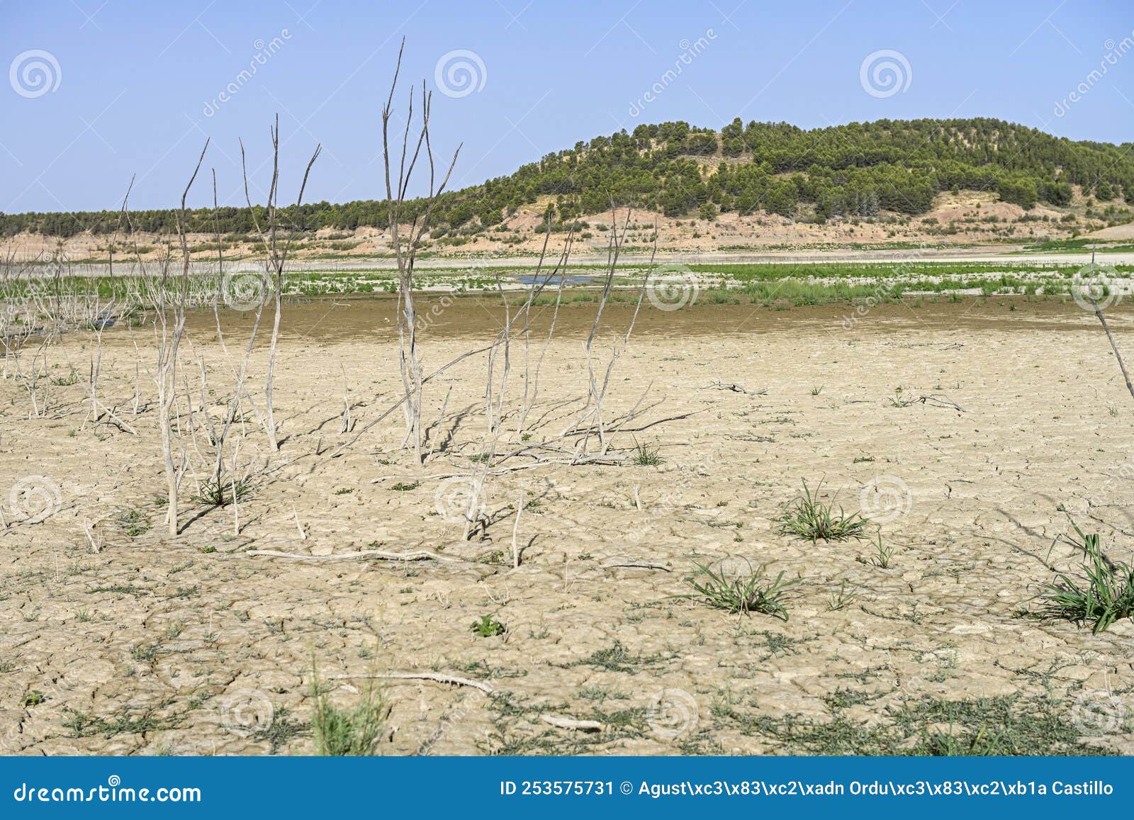 texture of dry land in southern europe. global warming and greenhouse effect.