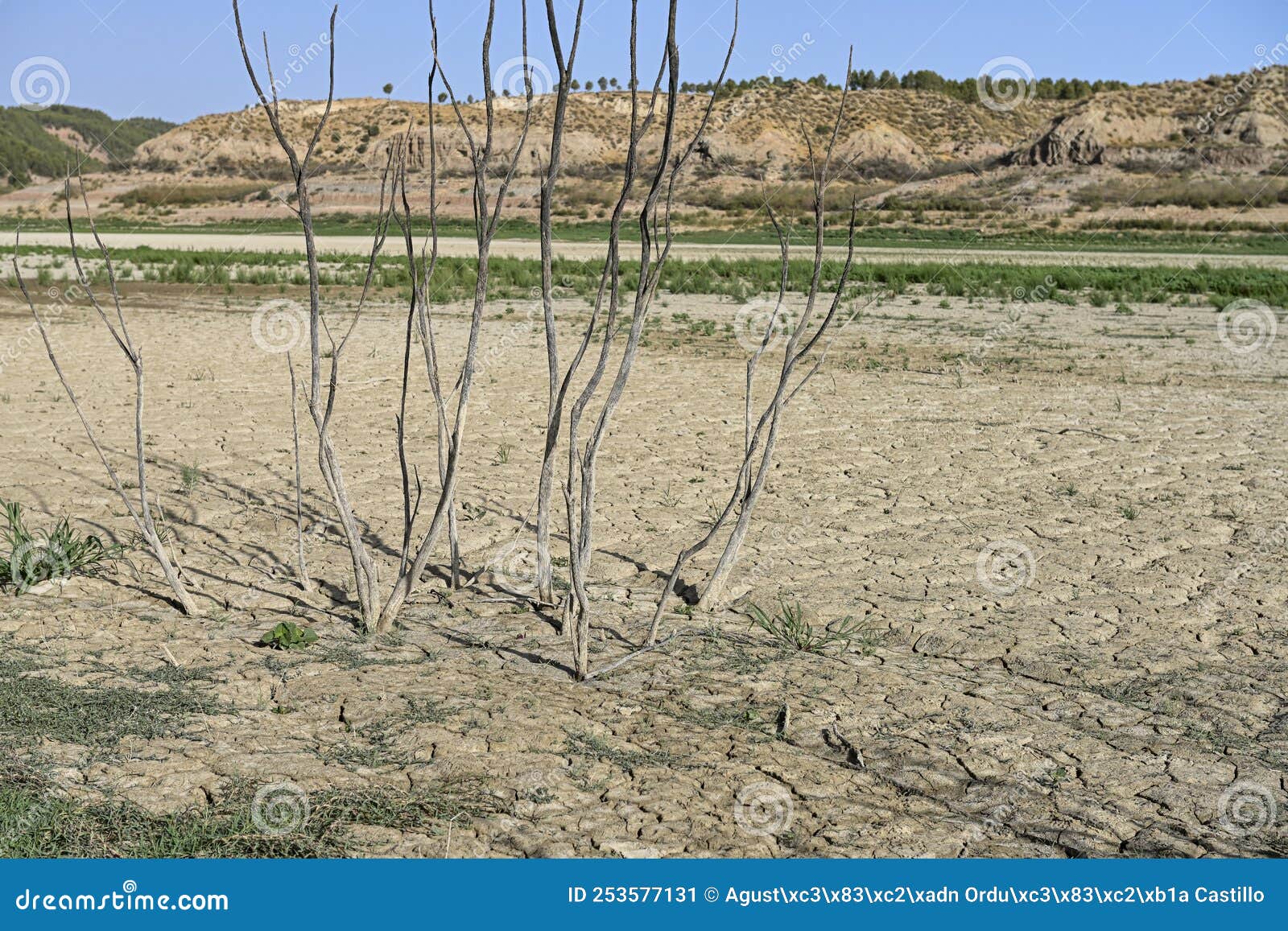 texture of dry land in southern europe. global warming and greenhouse effect
