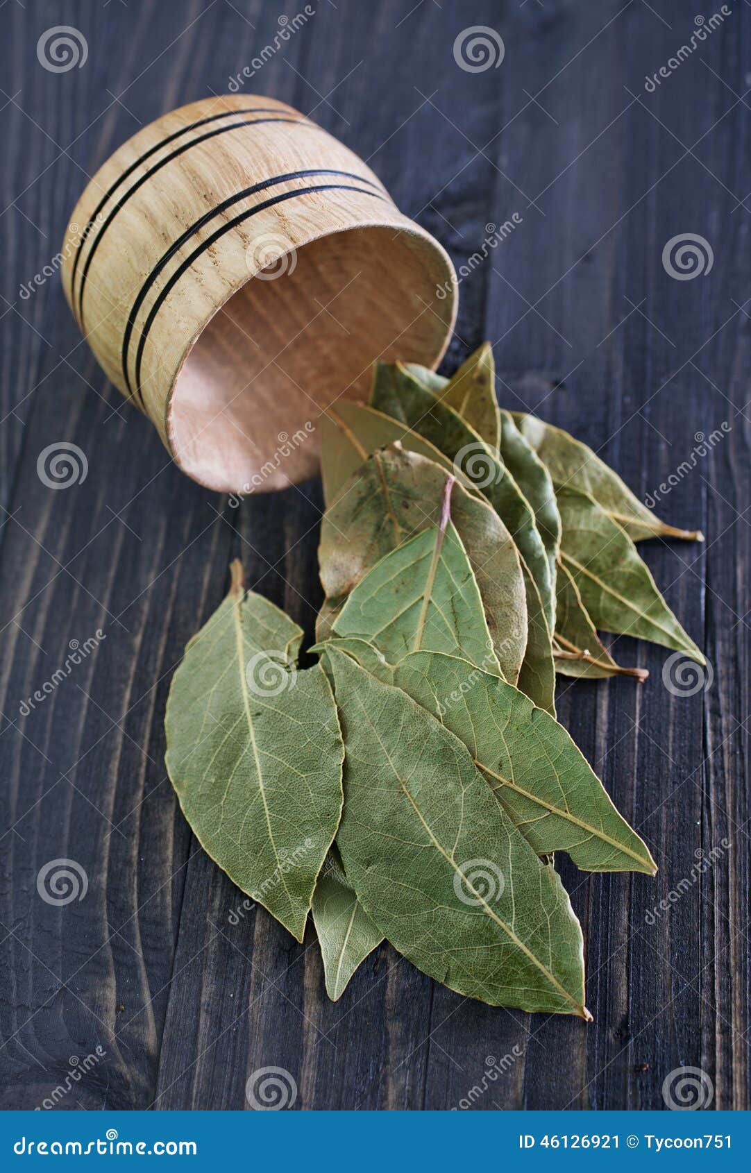 Dry laurel stock image. Image of mediterranean, food 46126921