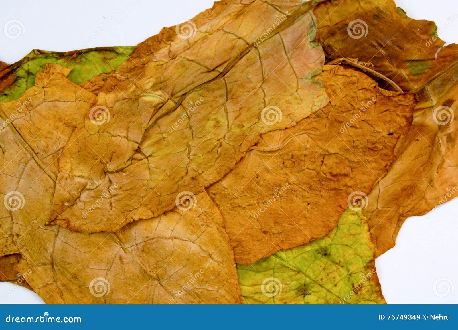 Smoker Veins Stock Photos Free & RoyaltyFree Stock Photos from