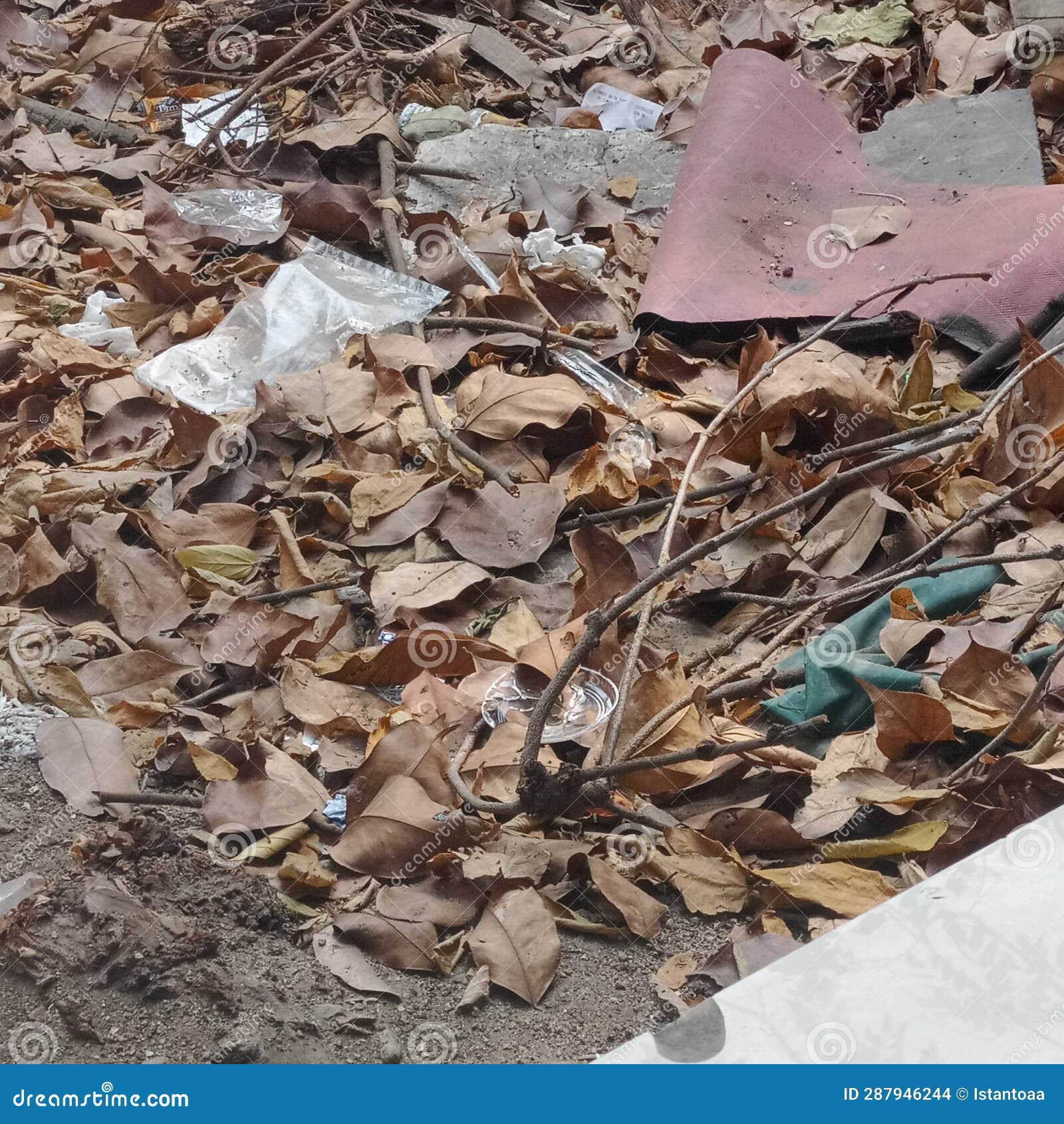dry leaves piled up. unsightly. on the outskirts of jakarta