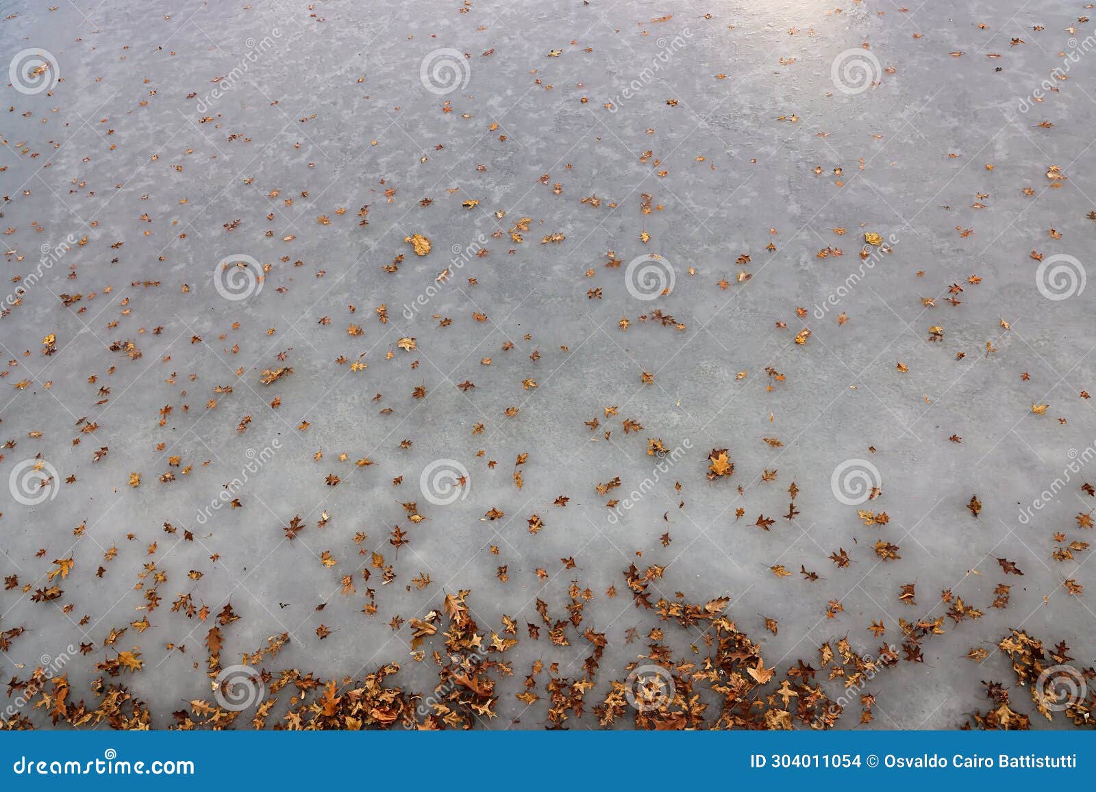 dry leaves scattered on a frozen lake
