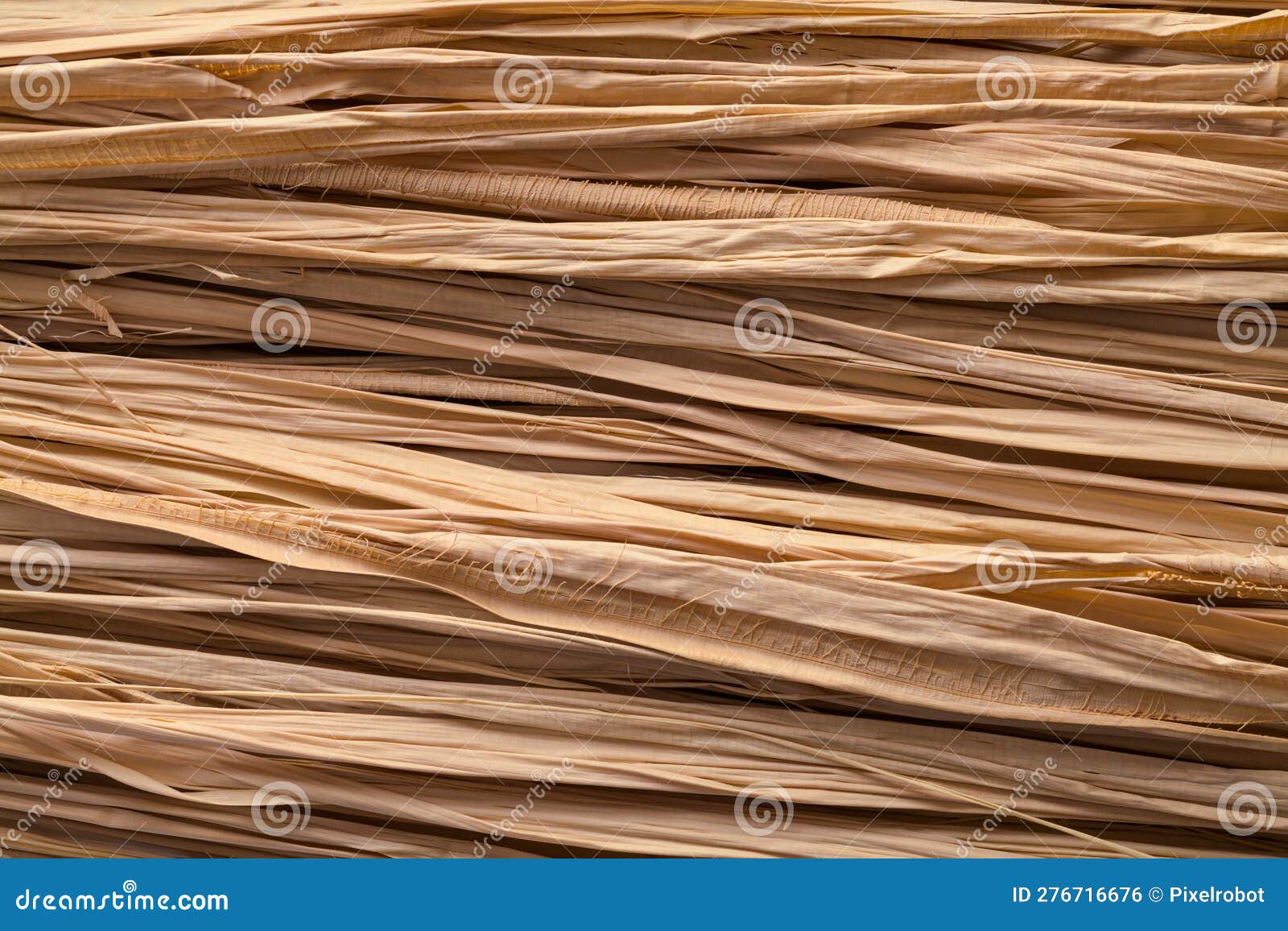 Dry Long Grass stock photo. Image of plant, brown, texture 276716676