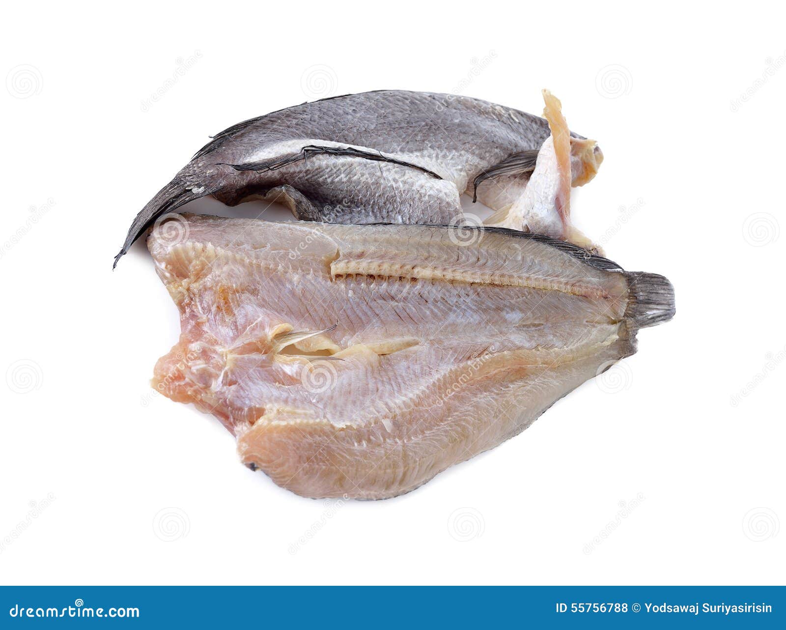 Dry Marinated Baby Mudfish One Sun On White Stock Photo Image of