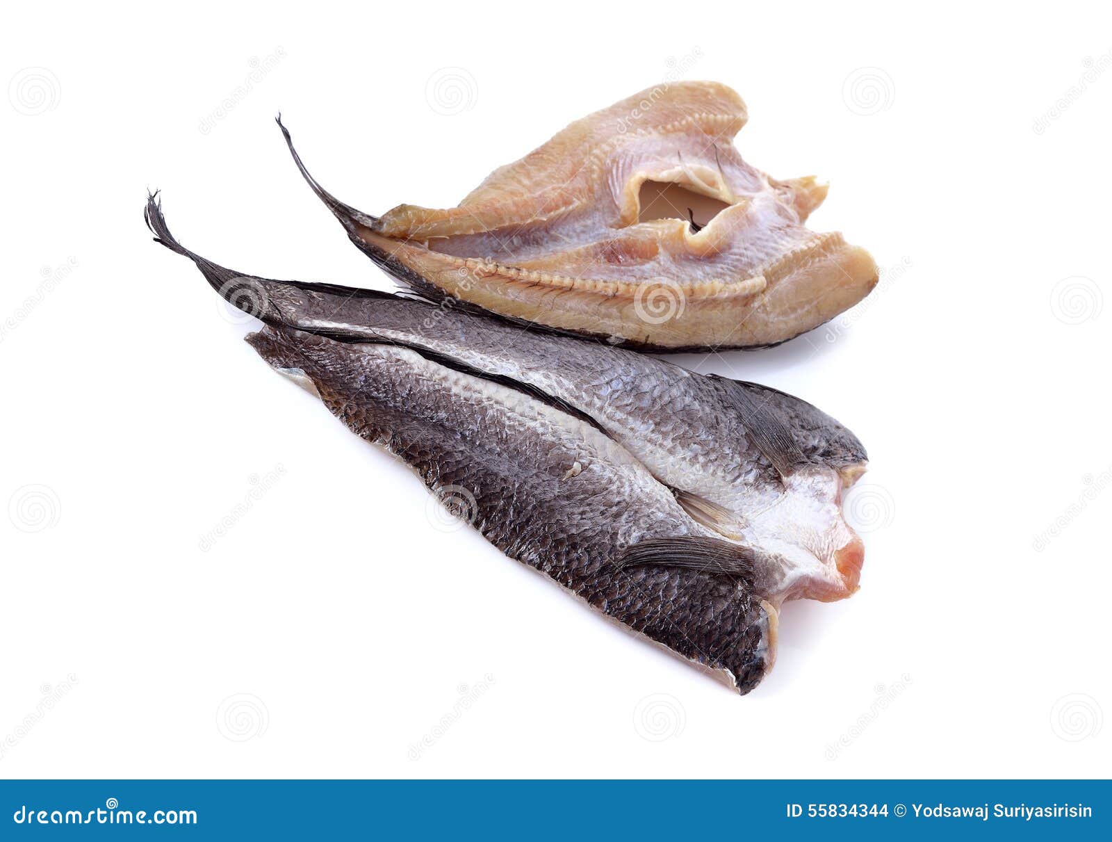 Dry Marinated Baby Mudfish One Sun on White Stock Photo Image of