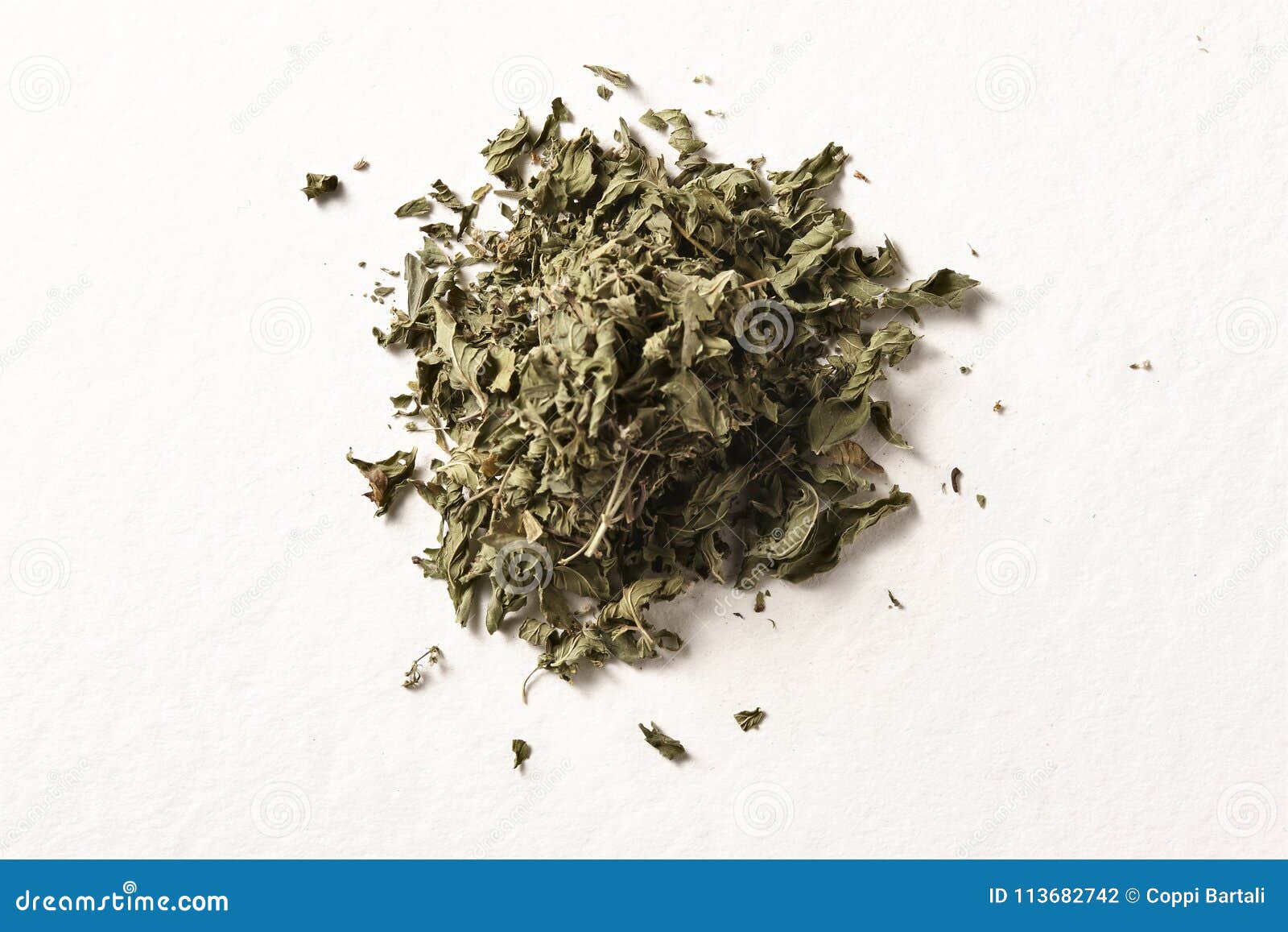 Dry mint leaves stock photo. Image of closeup, environment 113682742