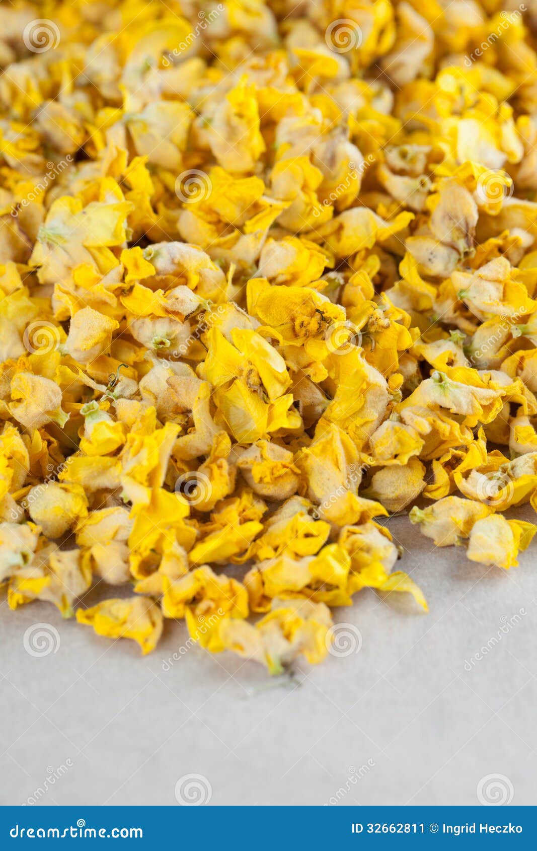 Dry mullein flowers stock image. Image of herbal, verbascum 32662811