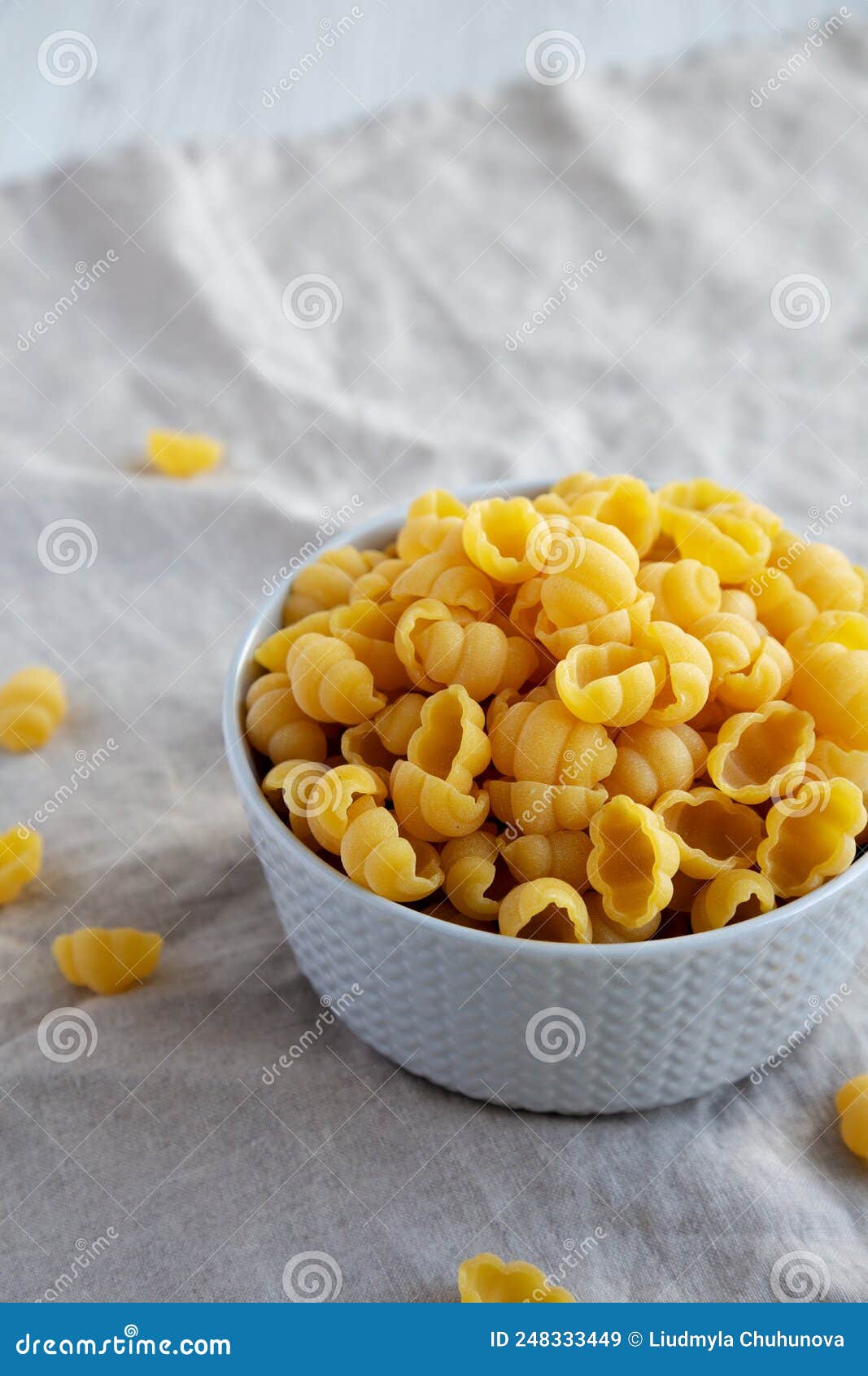 Dry Organic Gnocchi Pasta in a Bowl, Side View. Space for Text Stock