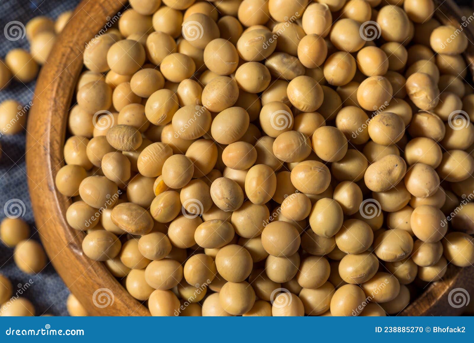 Dry Organic Soy Beans stock photo. Image of legume, bean 238885270