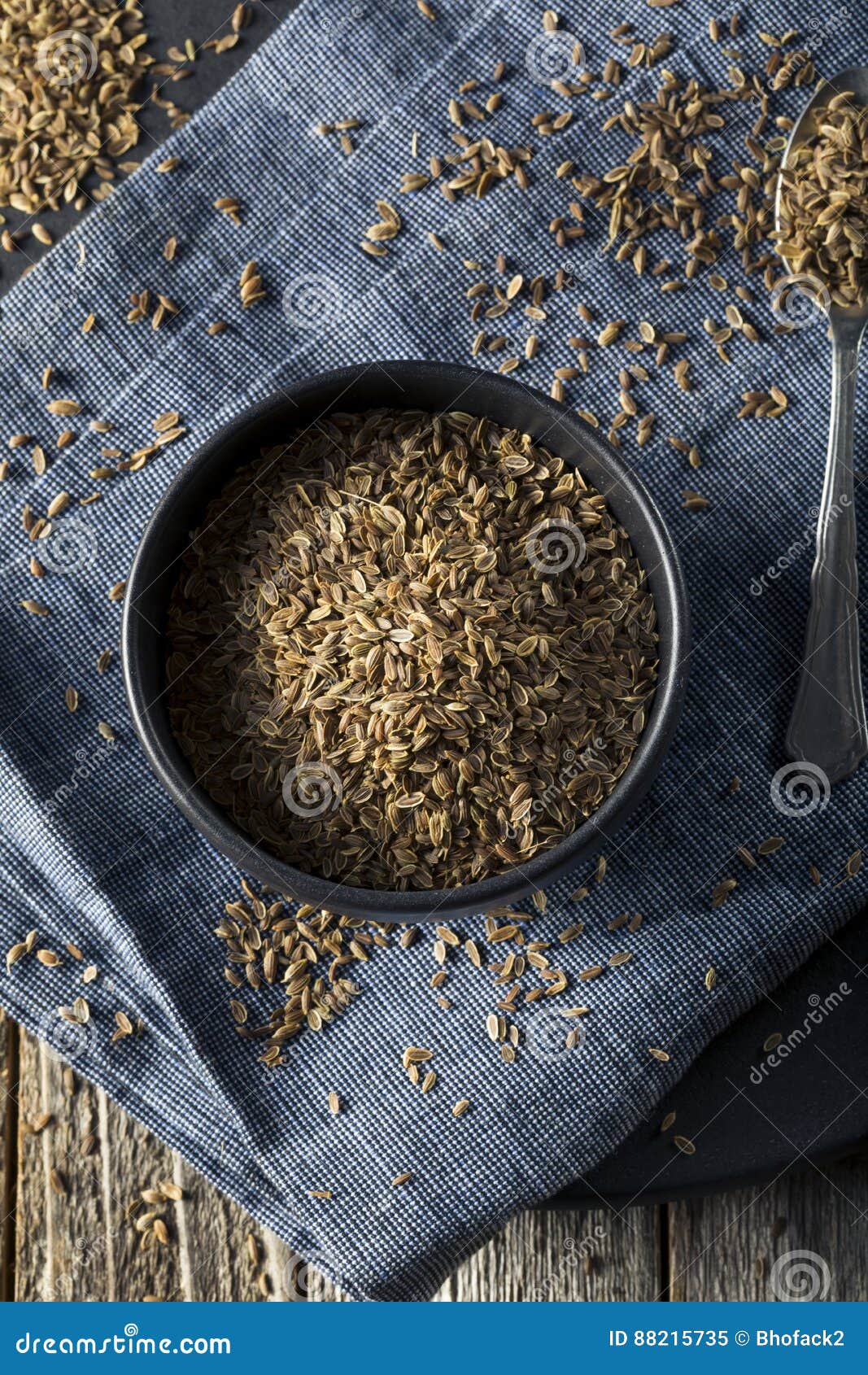 Dry Organic Tarragon Seed Spice Stock Image Image of exotic, estragon