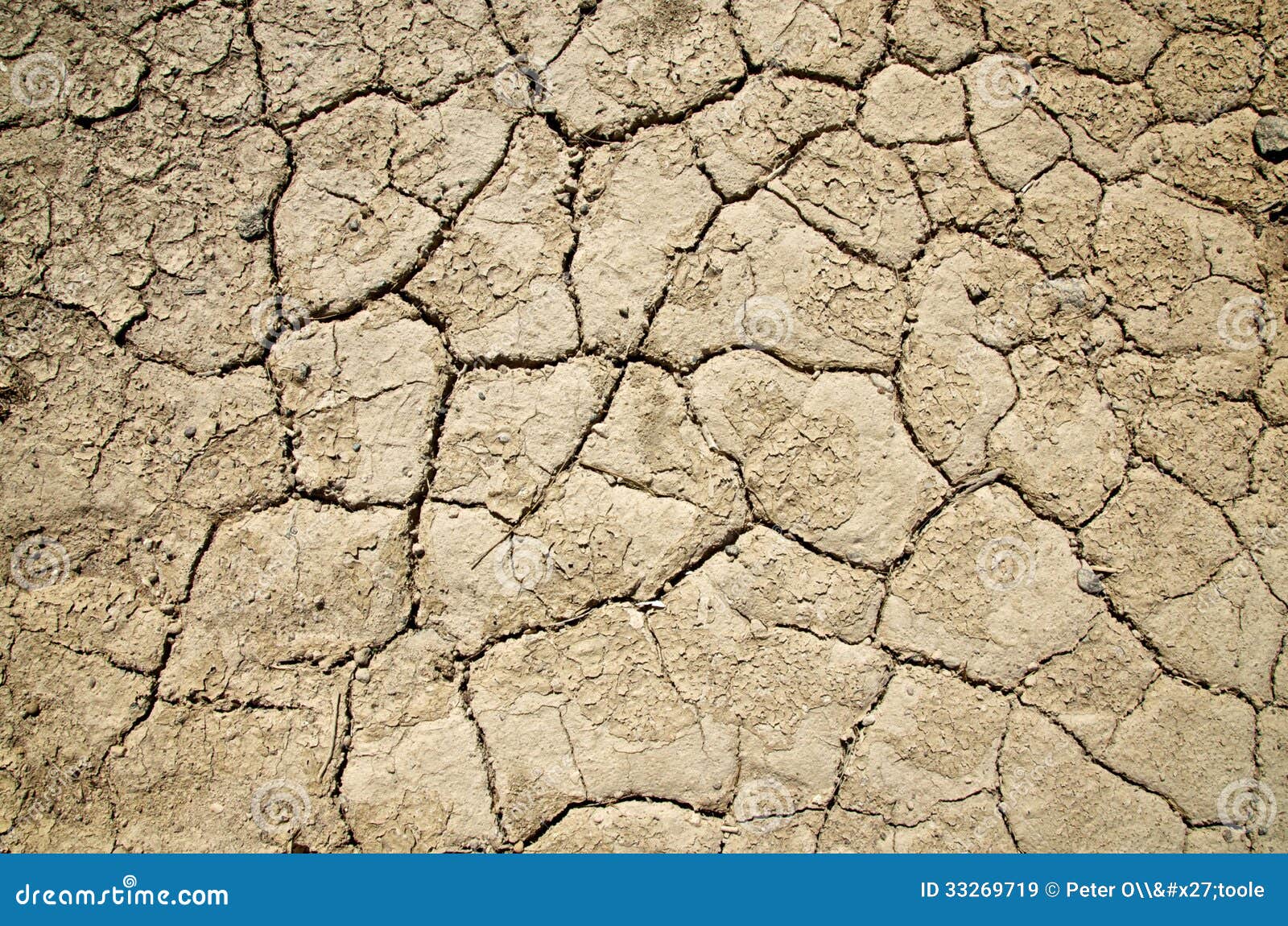 Dry As Parched Crossword prntbl concejomunicipaldechinu gov co Dry As Parched Crossword prntbl concejomunicipaldechinu gov co