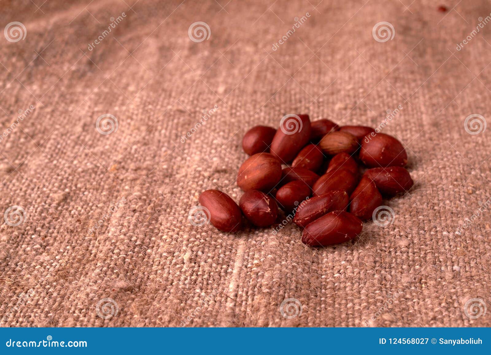 dry peanuts background. close up dry peanuts. selective focus. nice bokeh