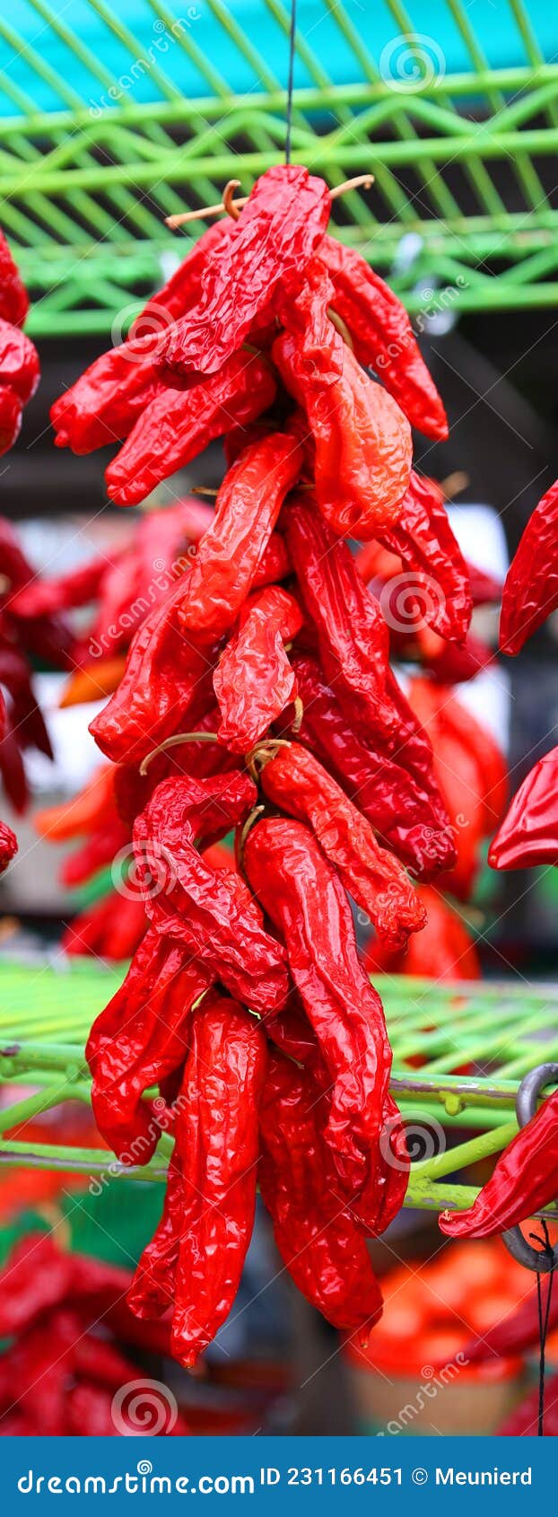 dry peppers: pimientos choriceros, dry hot guindilla peppers