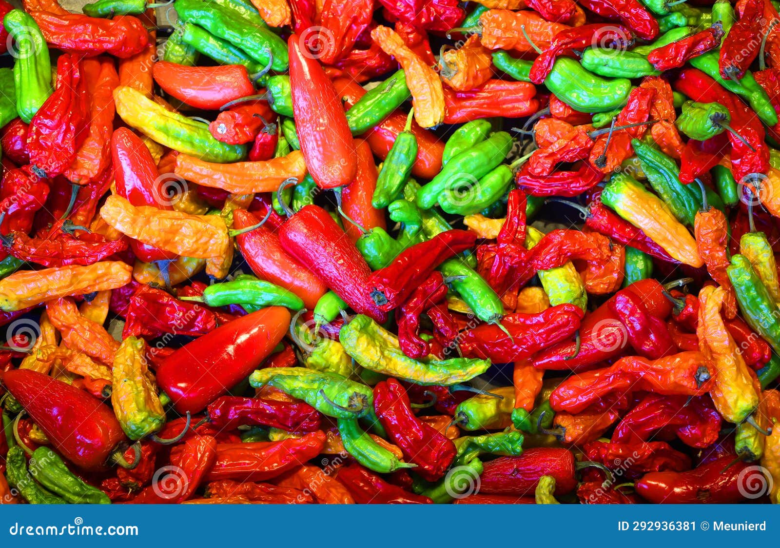 dry peppers: pimientos choriceros, dry hot guindilla peppers,