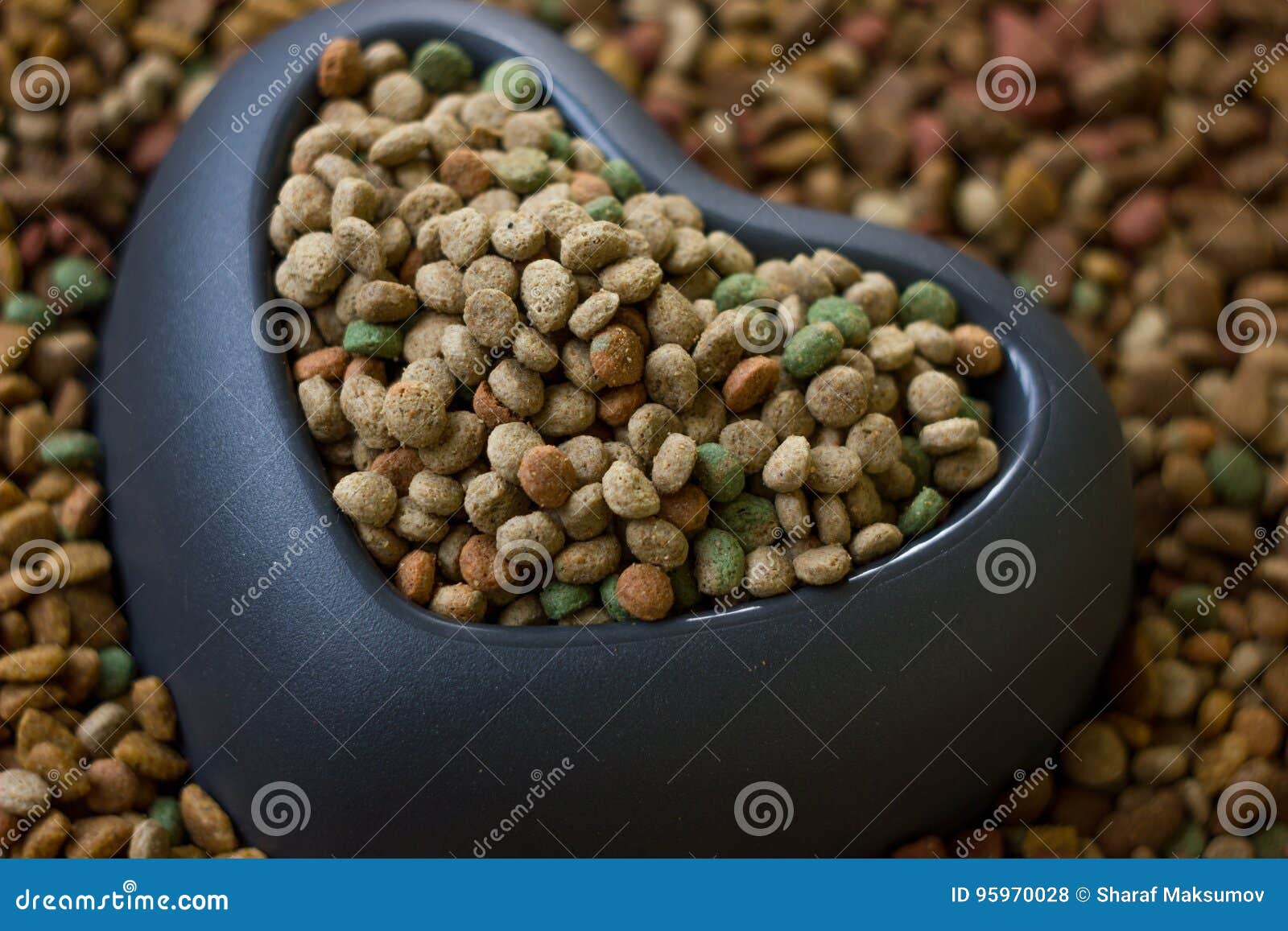 Dry Pet Food in Plastic Heart Bowl. Stock Photo Image of bowl