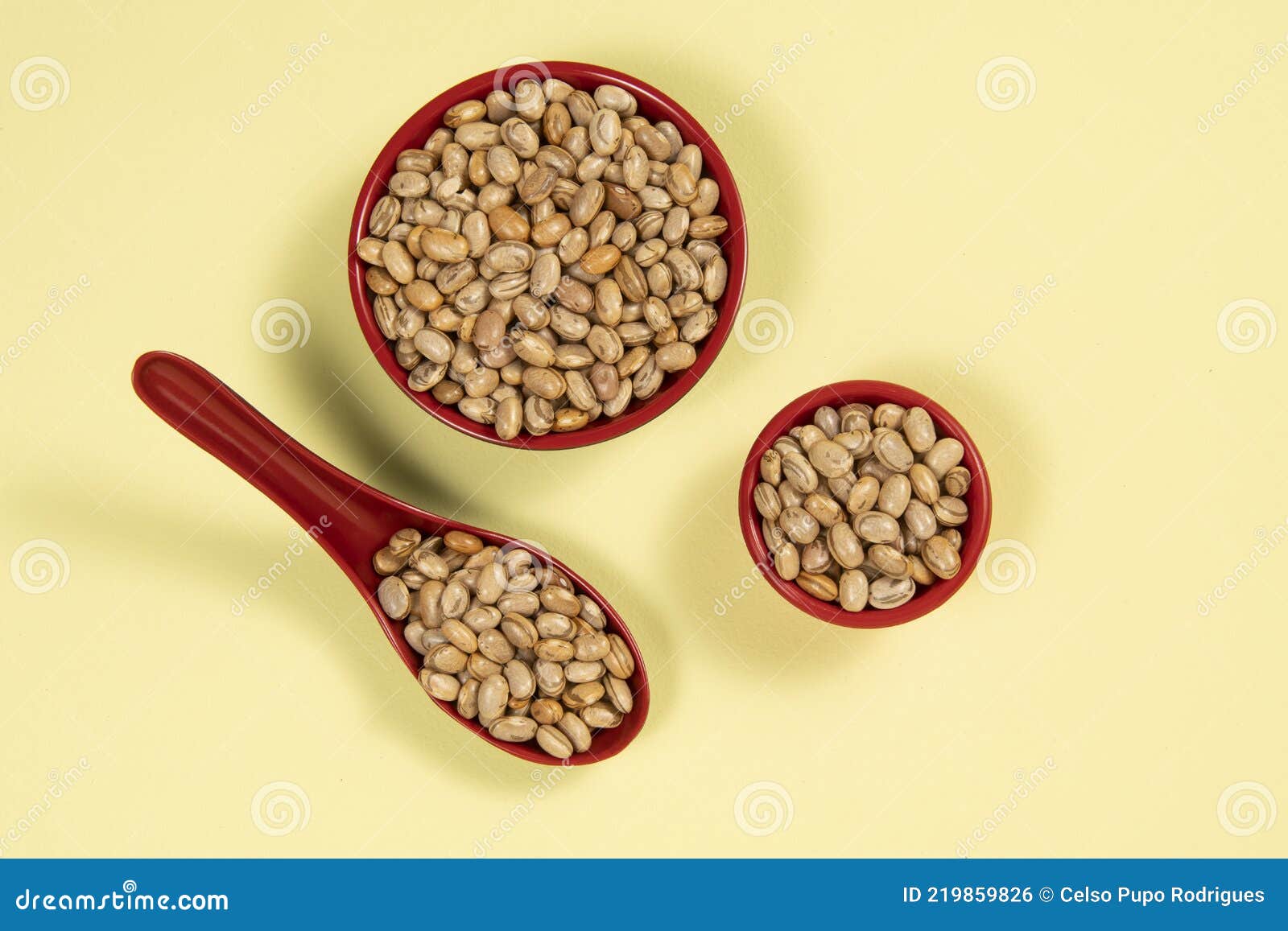 Dry Pinto Bean Seed in Red Plastic Bowl Stock Photo Image of isolated