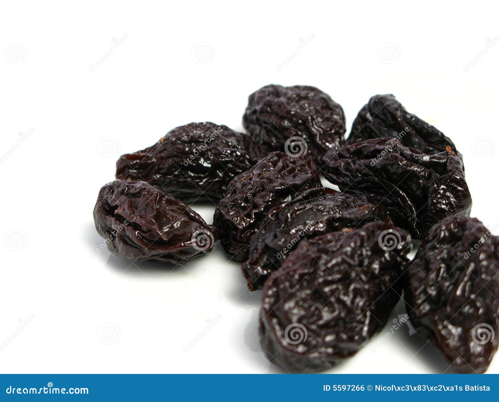 download prune plum for free download prune plum for free
