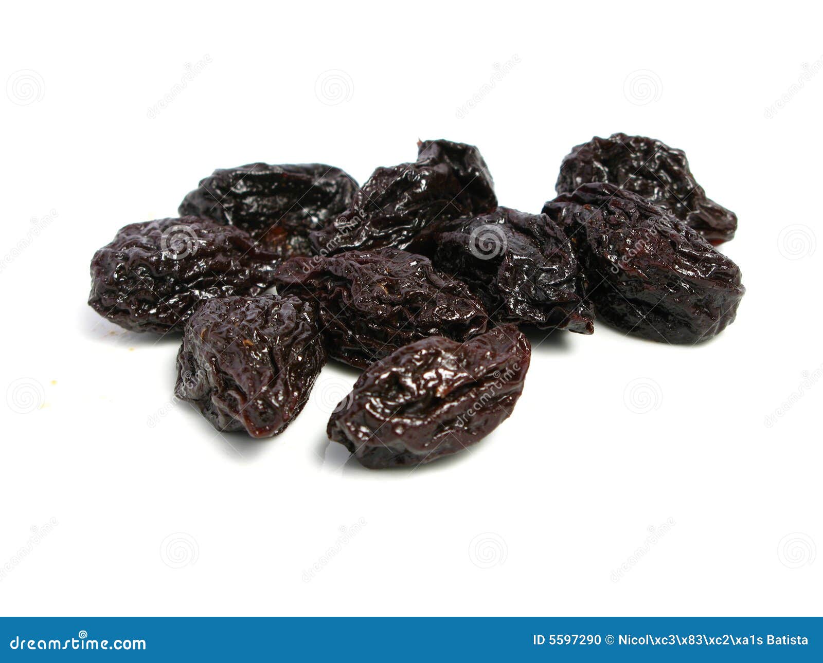 prune plum download free prune plum download free