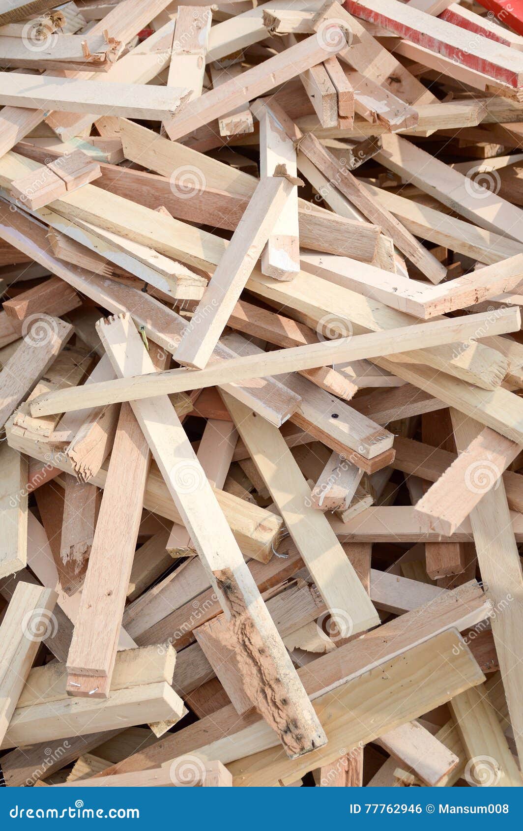 Dry plywood on the ground stock photo. Image of material 77762946