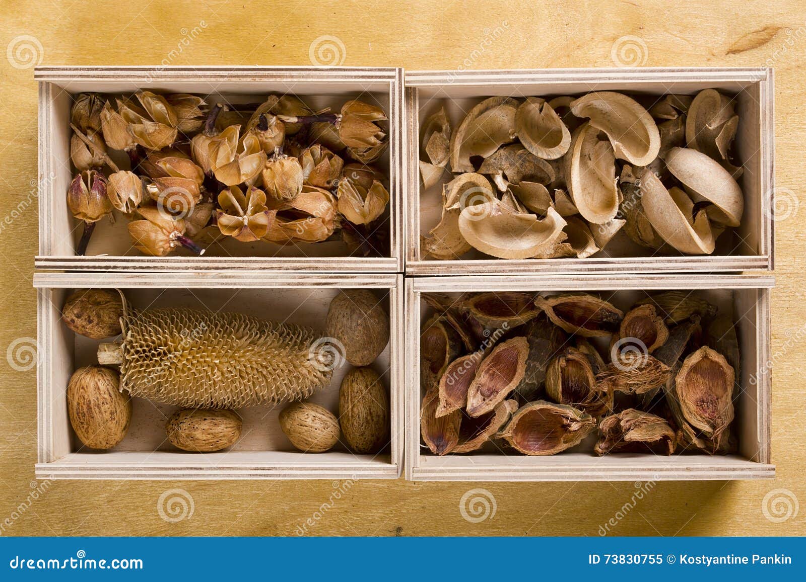 Dry potpourri in boxes stock image. Image of plant, leaf 73830755