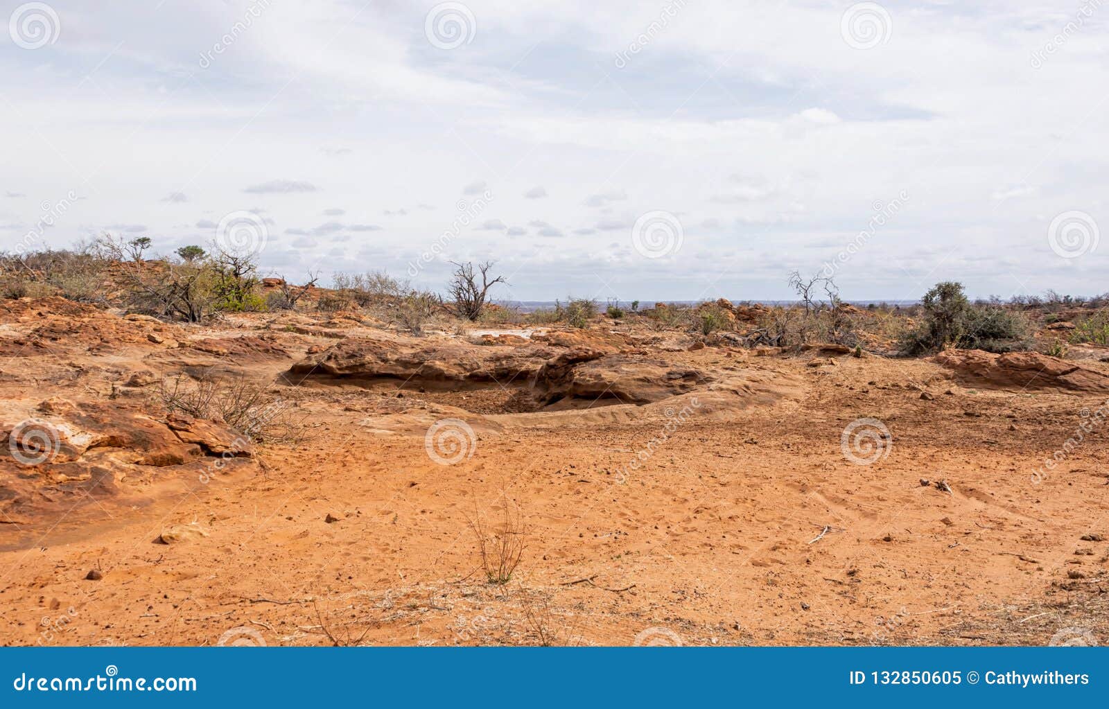 Dry Riverbed stock image. Image of biosphere, natural 132850605