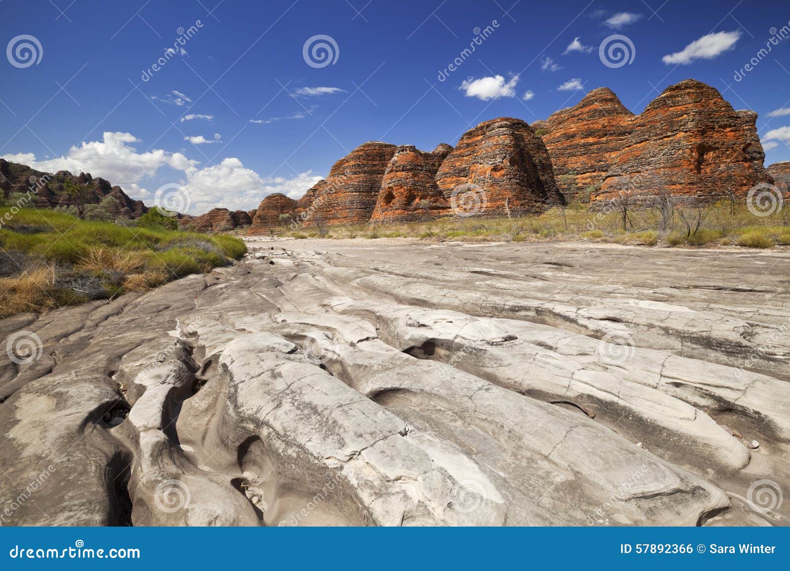 dry riverbed in purnululu np, western australia