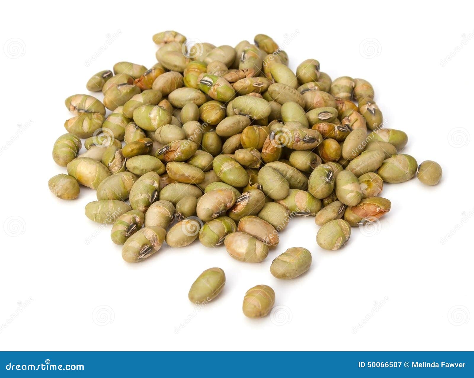 Dry Roasted Edamame stock image. Image of pile, seed 50066507
