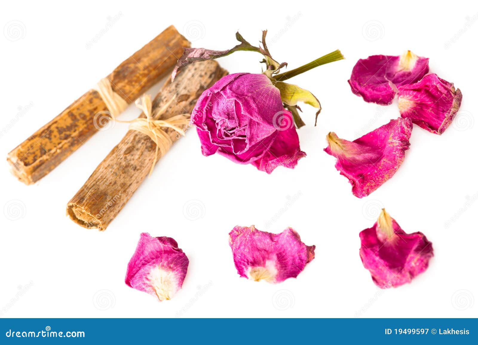 Dry rose and herbs stock image. Image of botany, beautiful 19499597