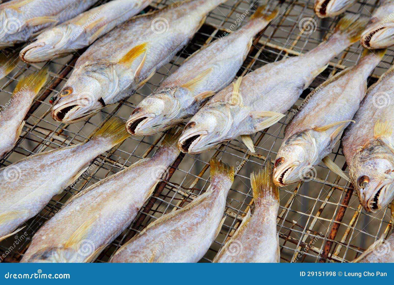 Dry salt fish stock photo. Image of fresh, fishing, food 29151998