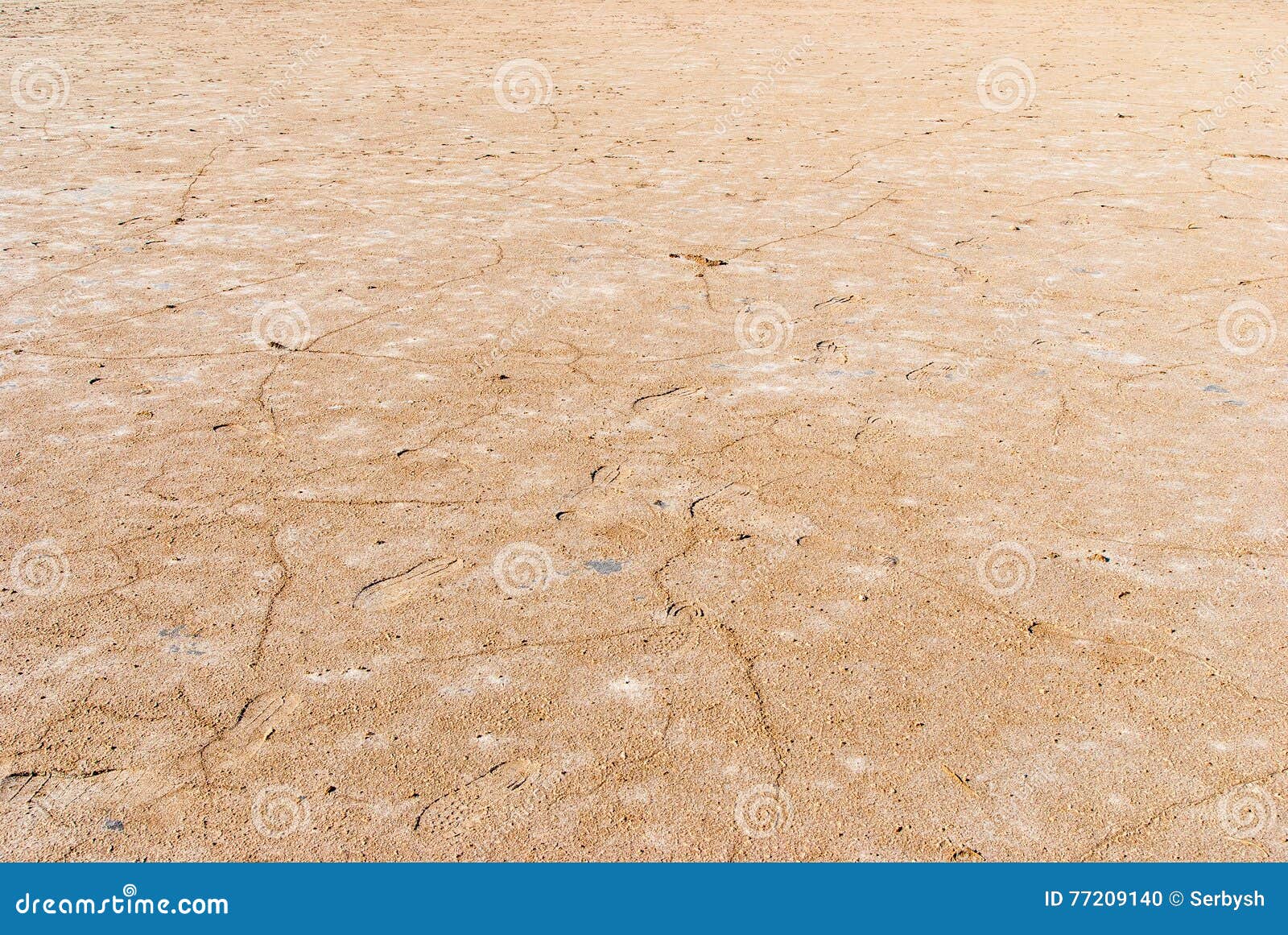 Dry Salt Lake Bottom Full of Texture. Stock Photo Image of lake